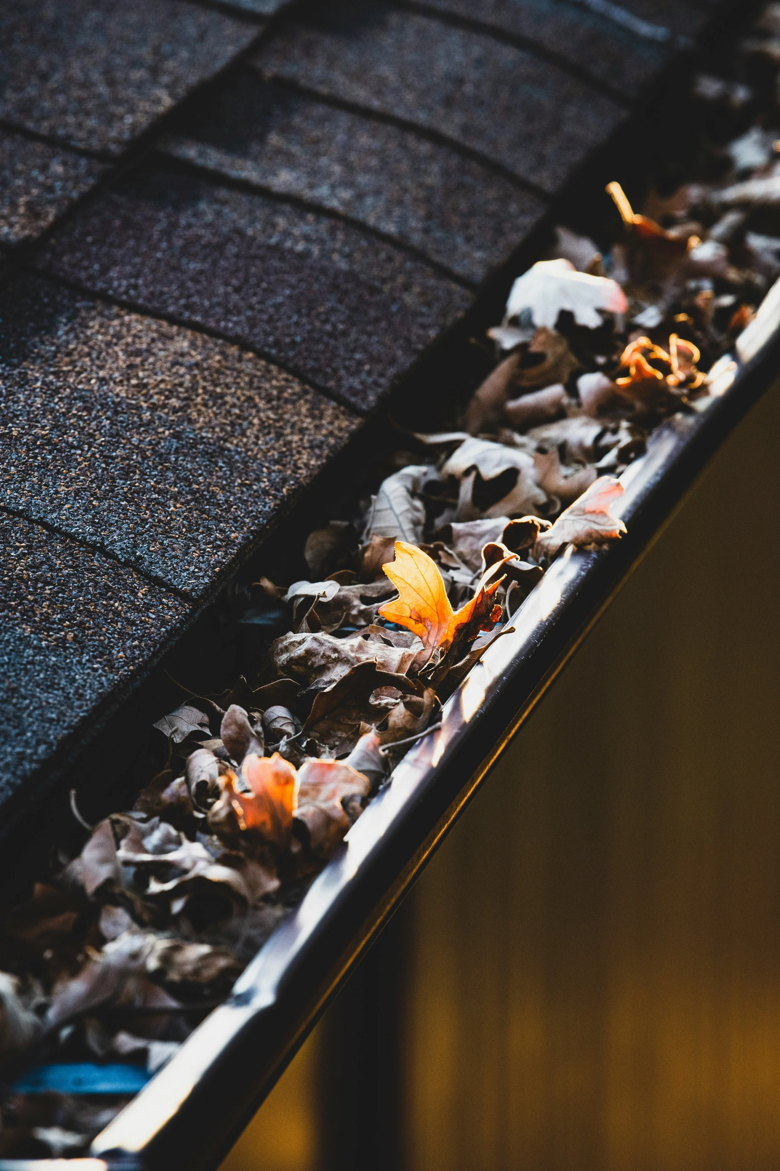 Close-up of a black asphalt shingle roof with a metal gutter filled with fallen autumn leaves in shades of brown, orange, and yellow.