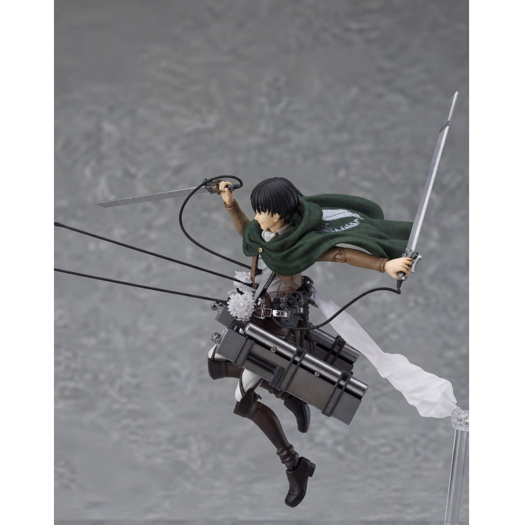 Figure Size (3).png