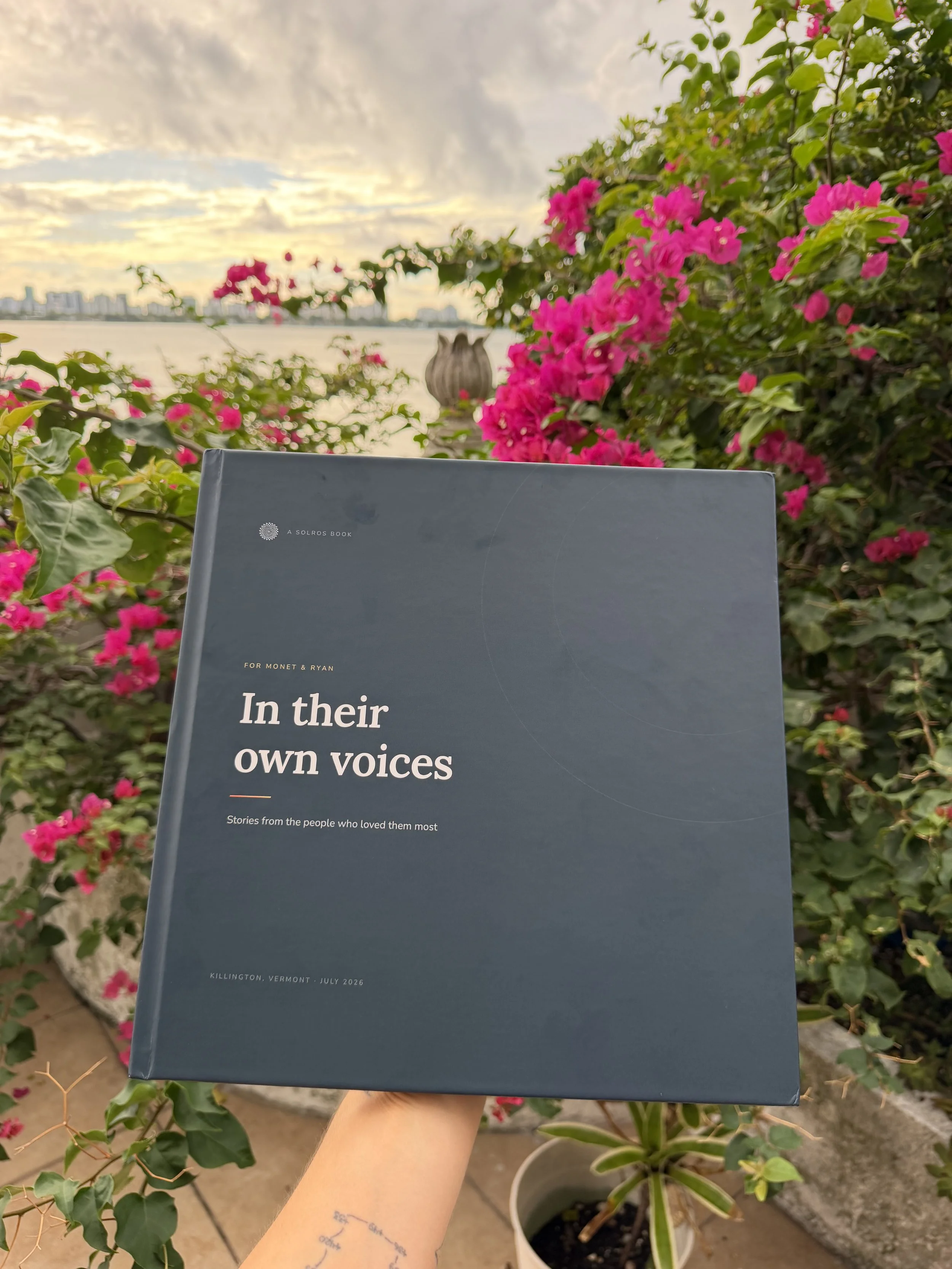 A person holding a navy blue book titled 'In their own voices' by Solros Book, with pink flowers and a city skyline in the background during sunset.