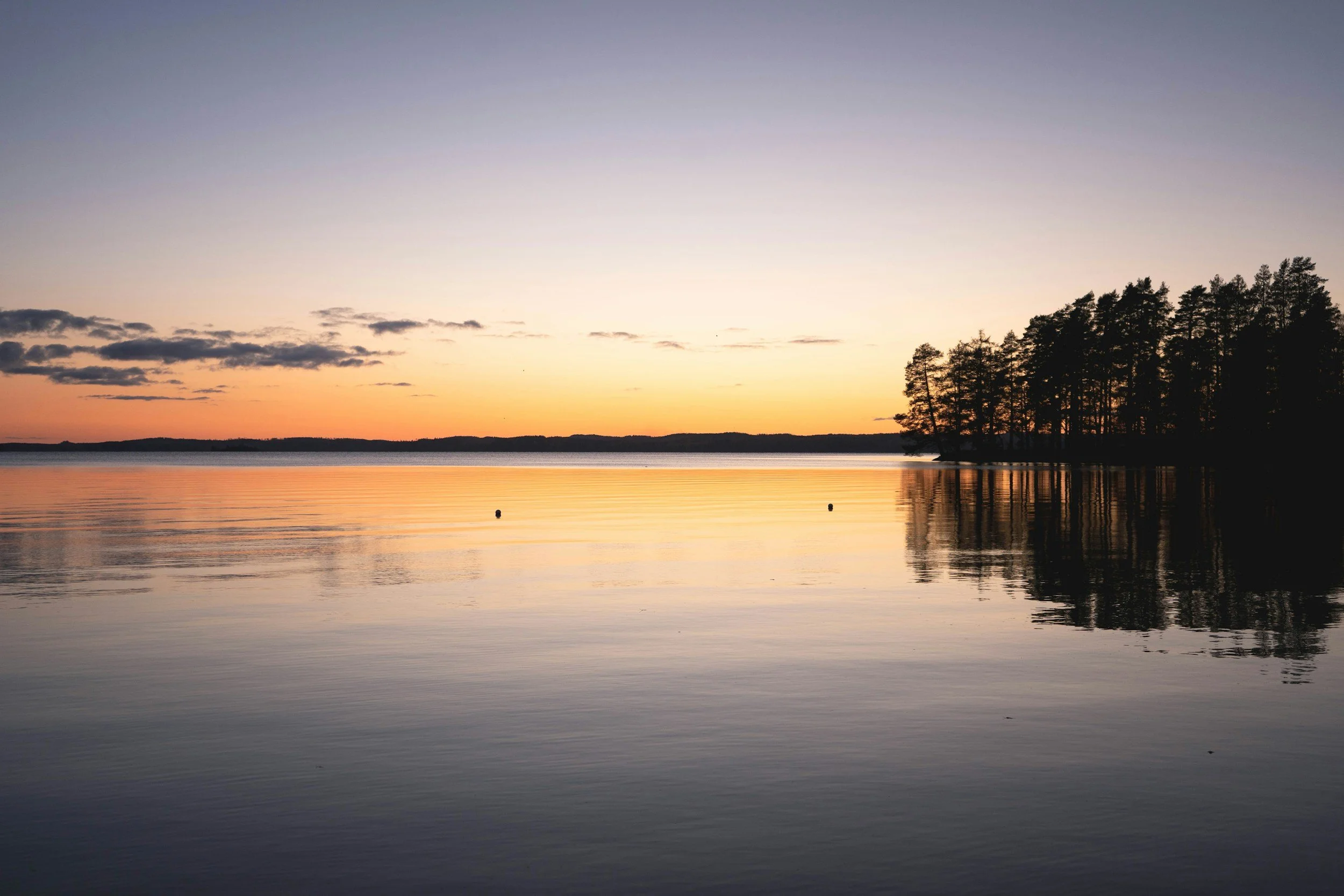 Sunset over a calm lake with a silhouette of trees on the right side and a few clouds in the sky.