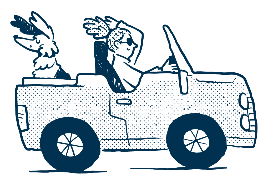Line drawing of a woman driving a convertible car with a rabbit sitting in the back seat.