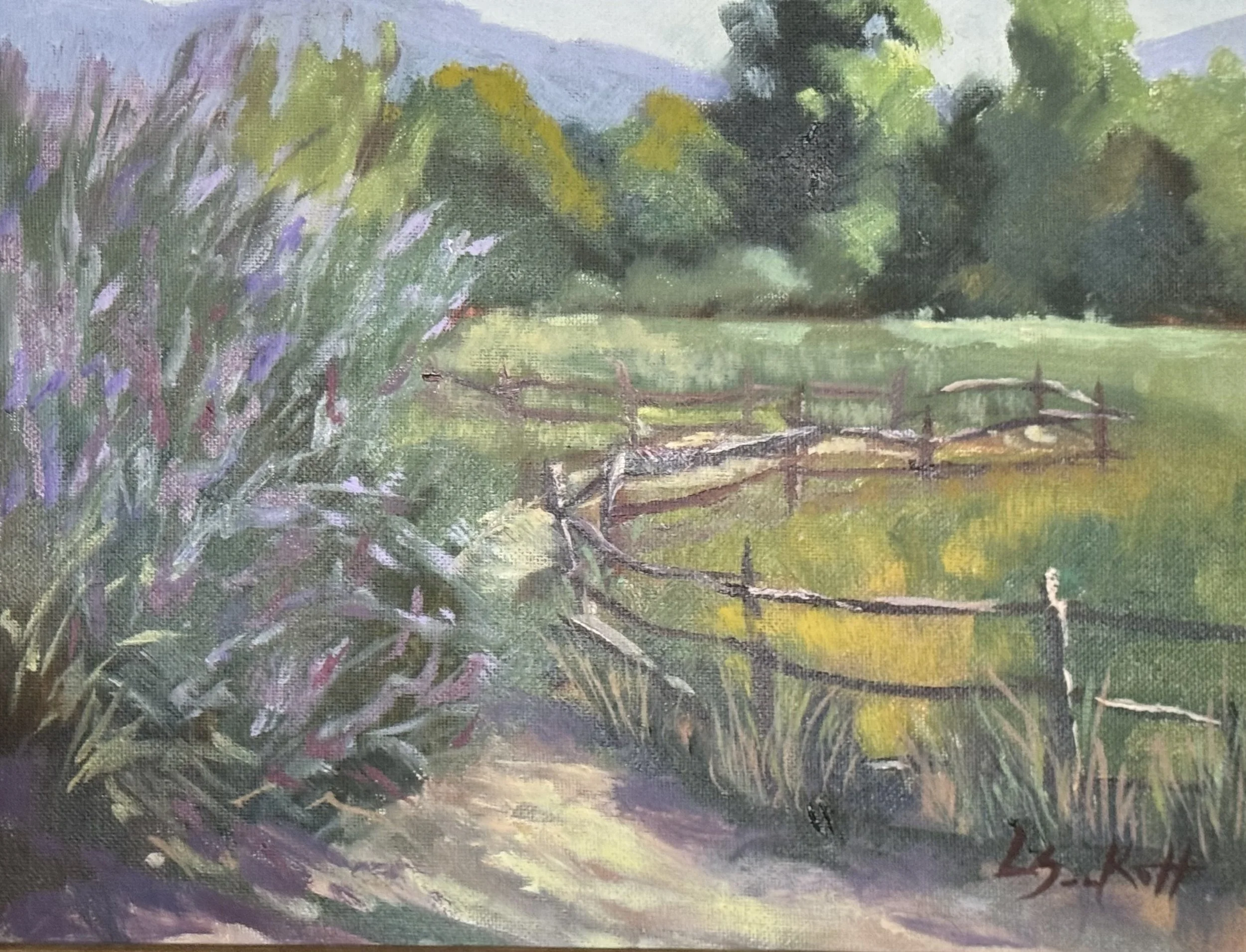 Summer Meadow