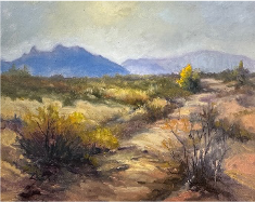 Arizona