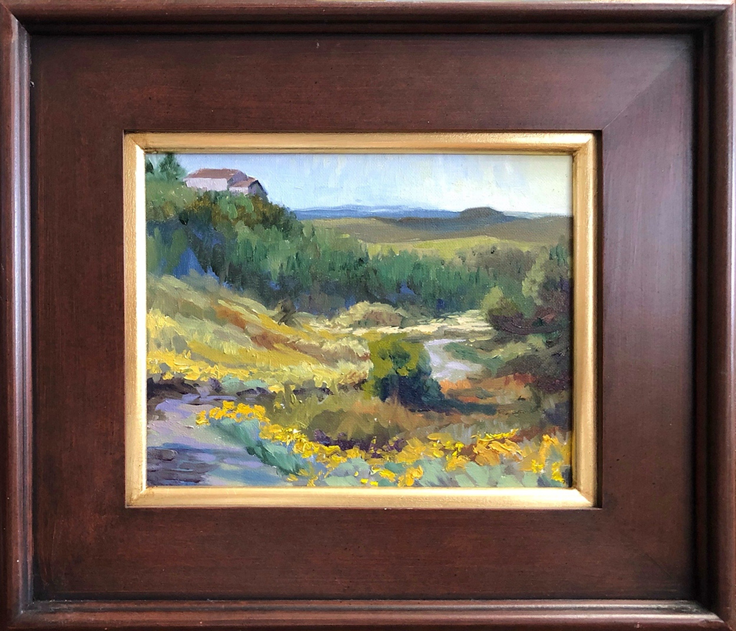 Canyon Fall