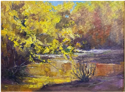 Cottonwood Cortillion