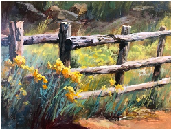 Don't Fence Me In