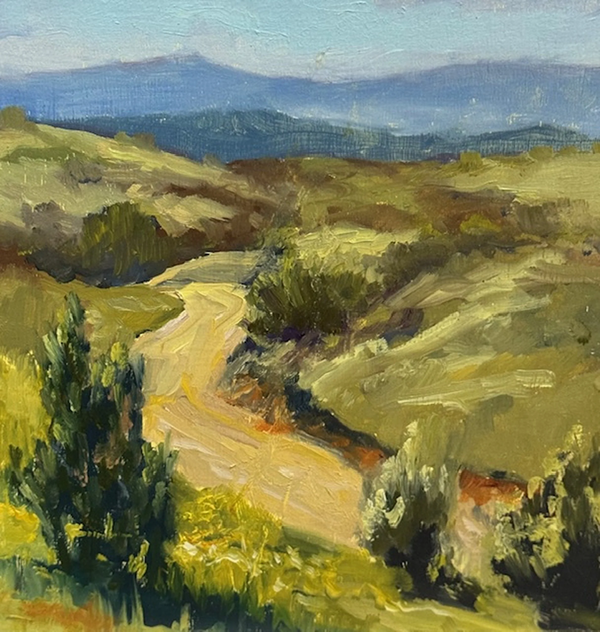 Down Quail Run