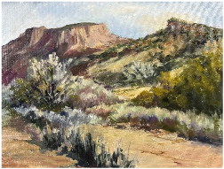 Mineral Springs Road