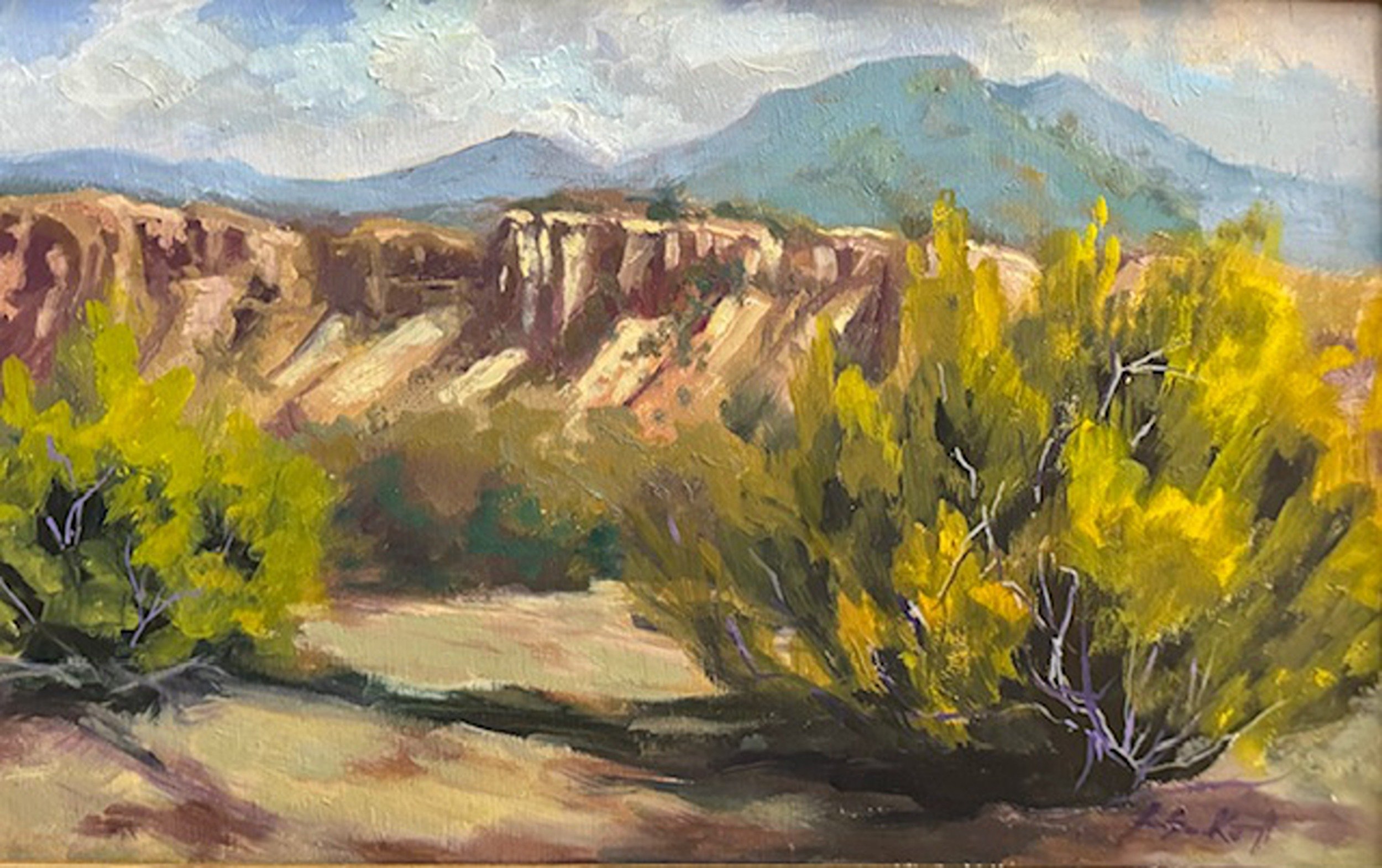 Mogollon Cliffs