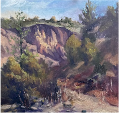 Mogollon Foothills