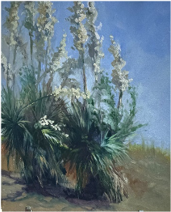 Molly's Yucca