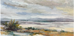 Not So Dry Dry Lake