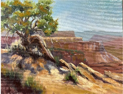 On Zion's Rim