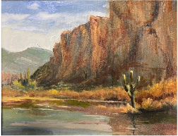 Saguaro Morning