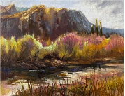 Salt River Sojourn
