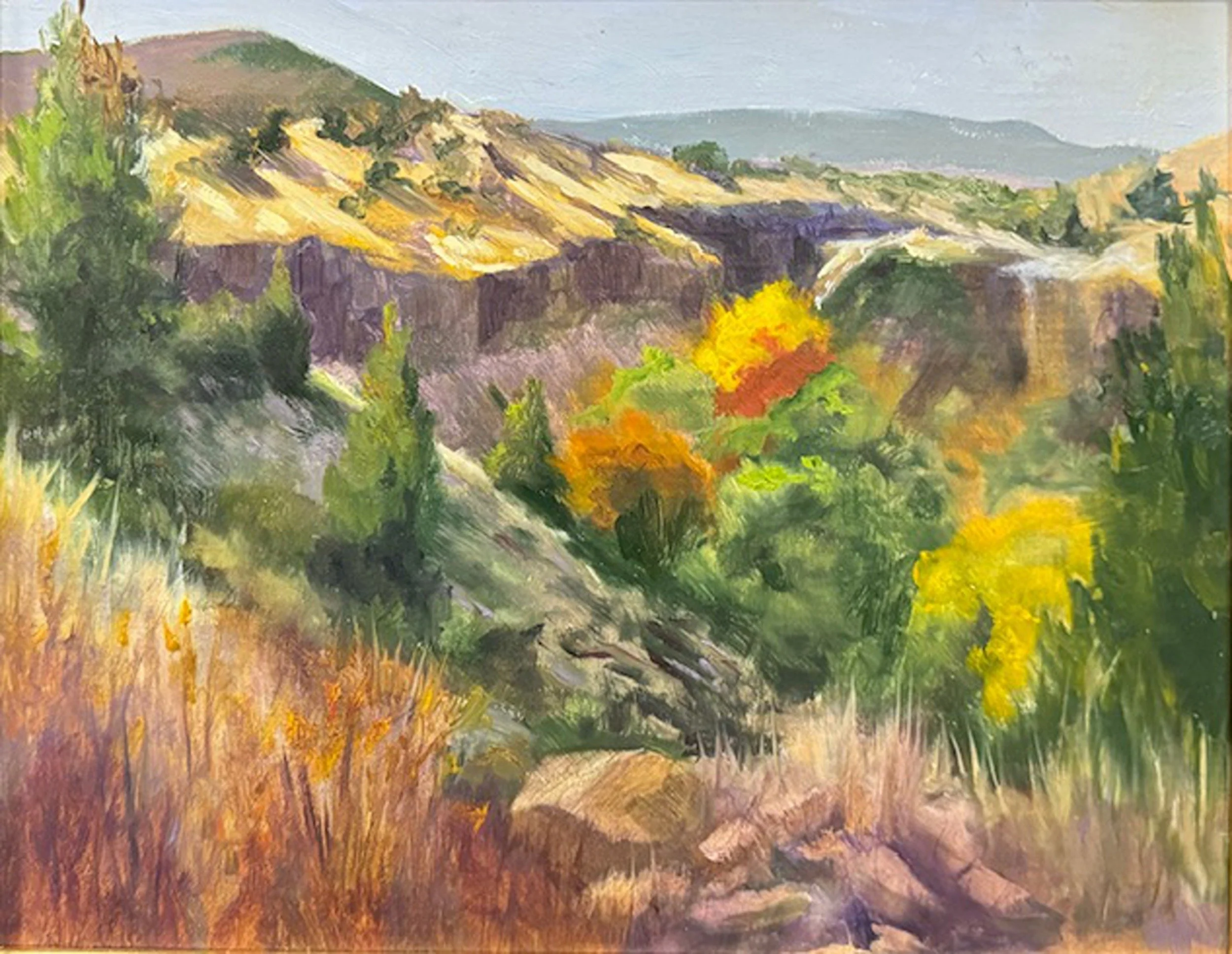 Vigil Canyon Color
