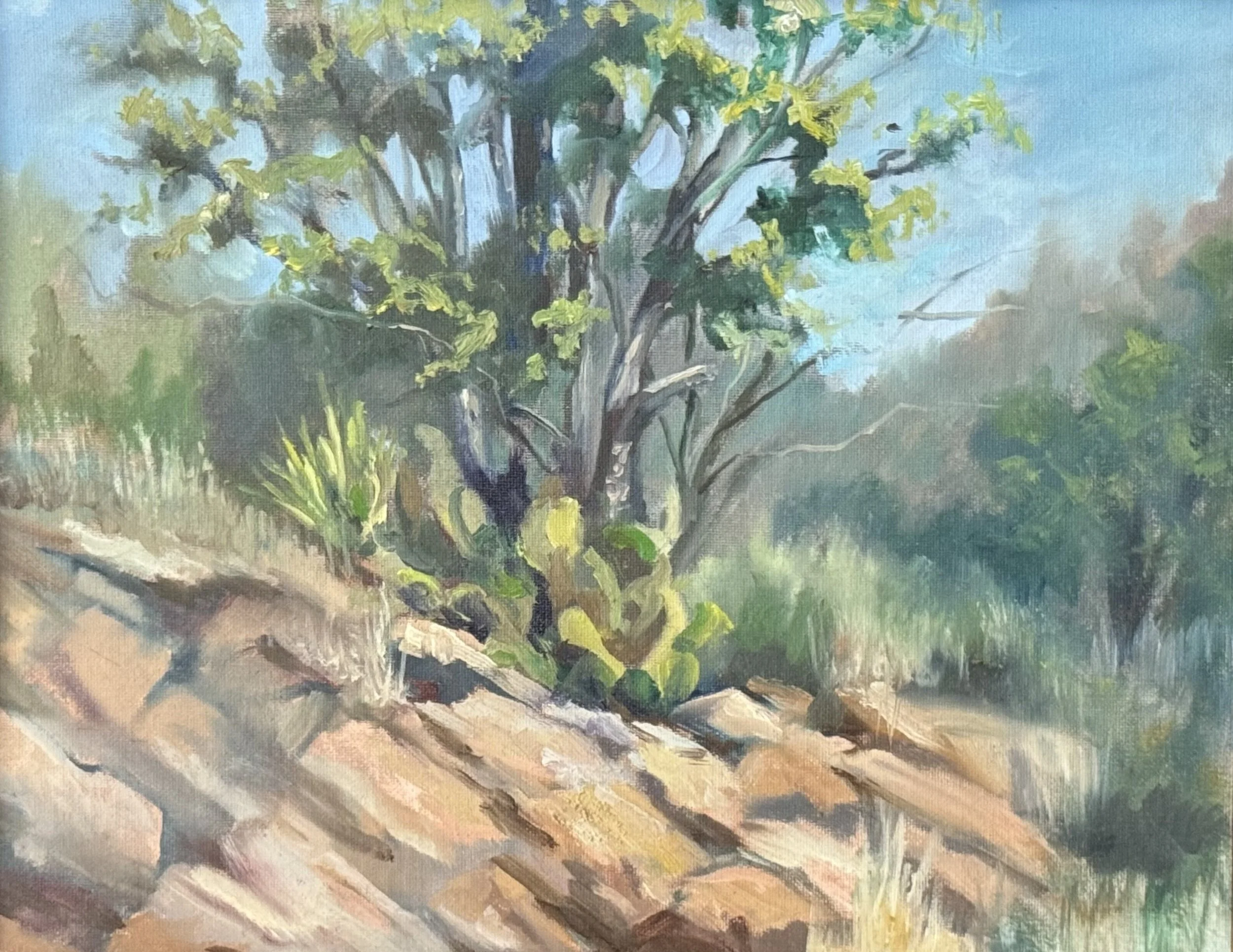 Rocky Sentinel