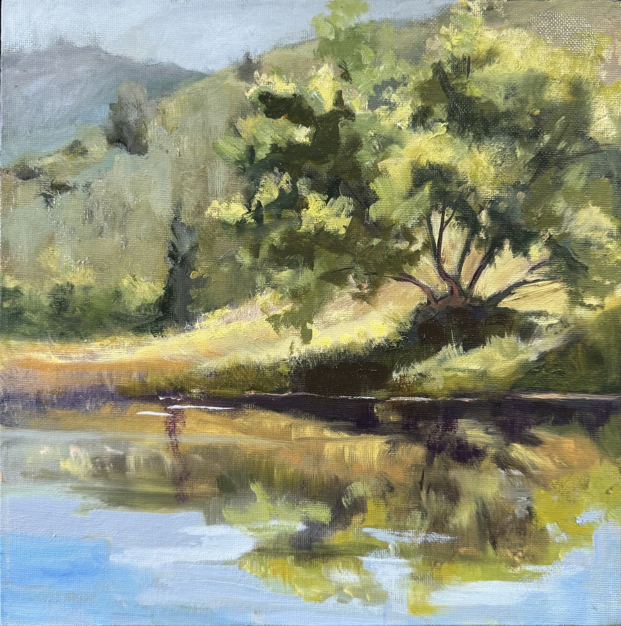 Western Oasis