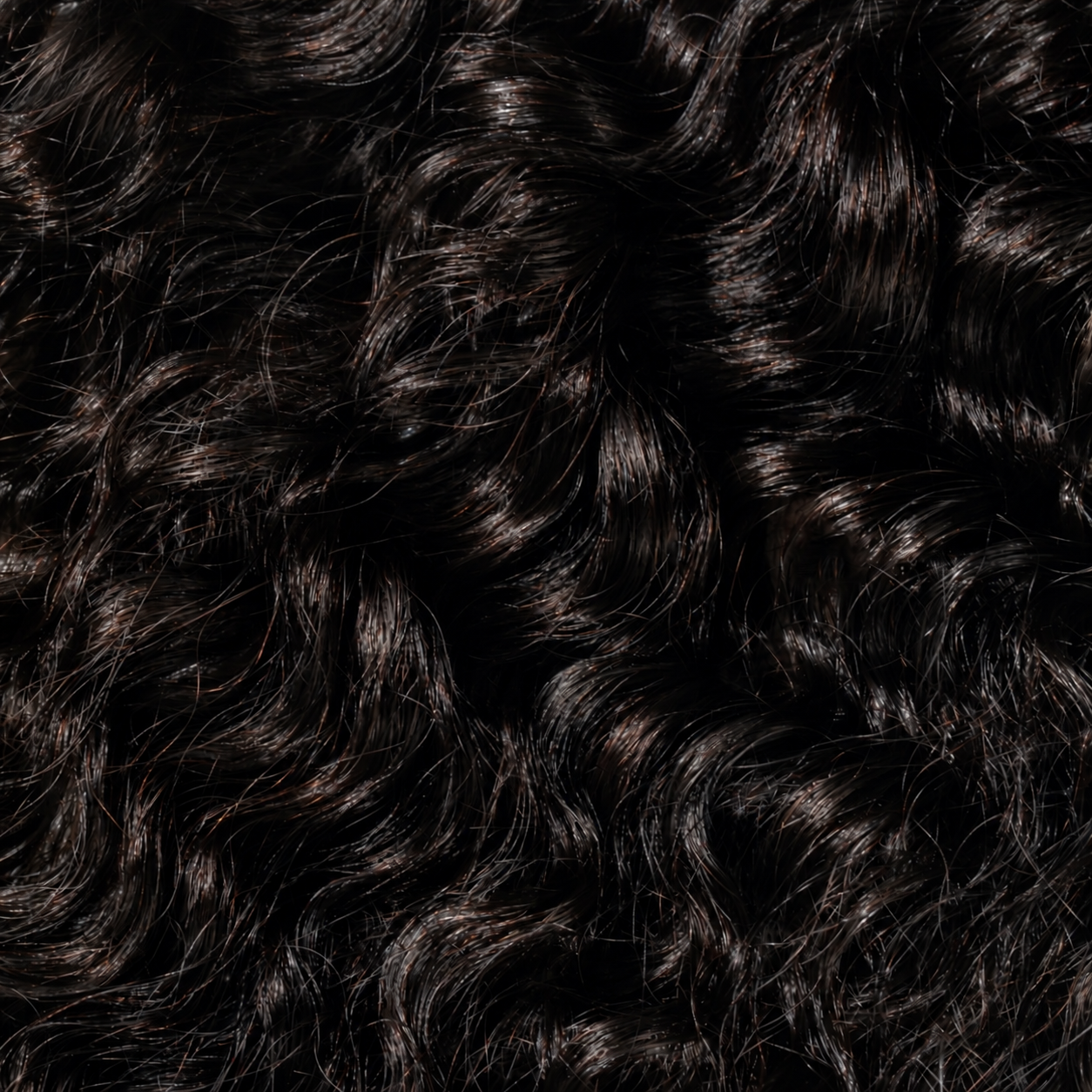 Burmese Curly | Feather Tips
