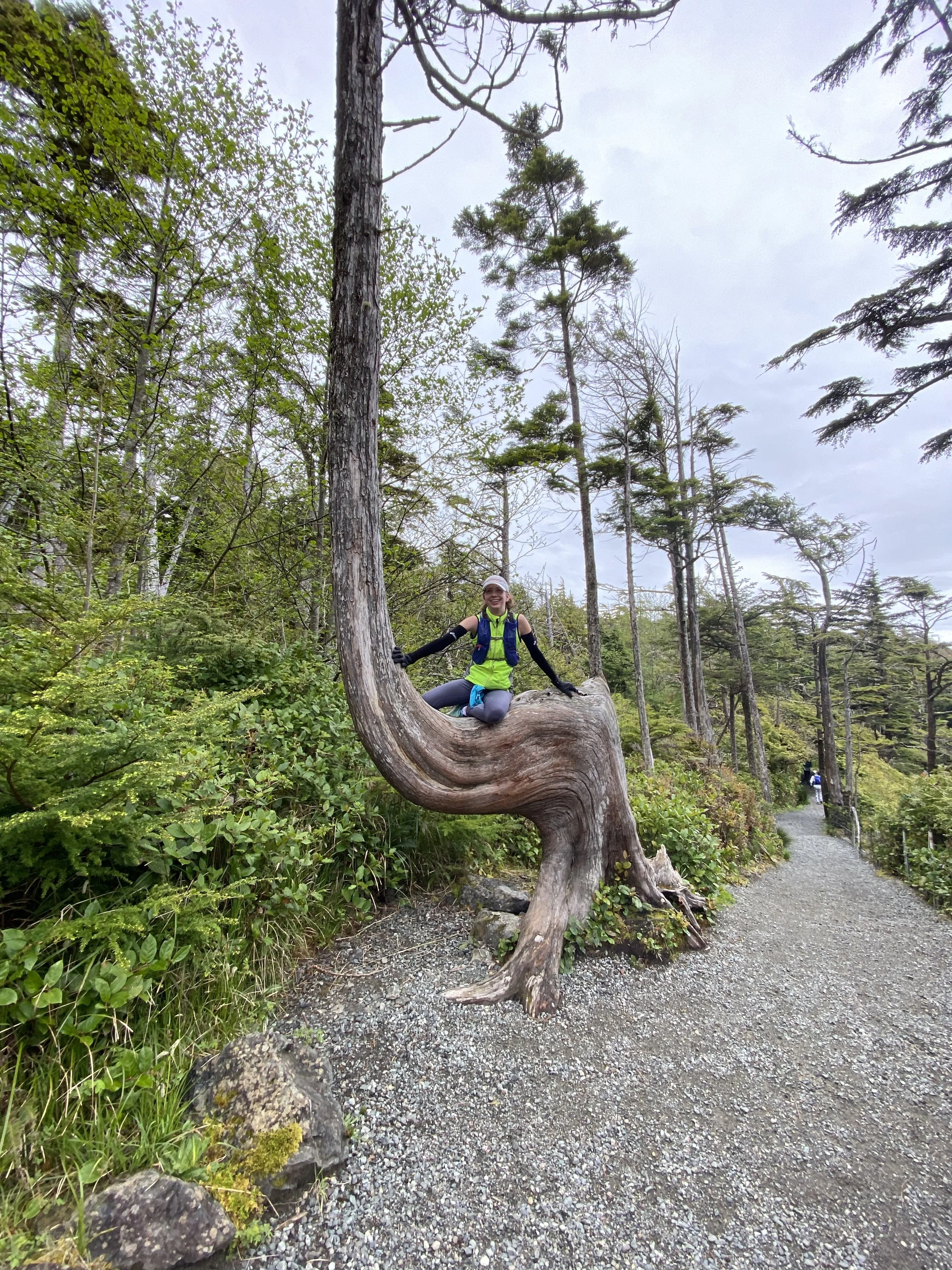 A woman sitting on a large, twisted piece of driftwood in a forest, smiling at the camera. She wears outdoor clothing and a backpack. The forest has tall trees with changing leaf colors, and a gravel path runs alongside the trees.