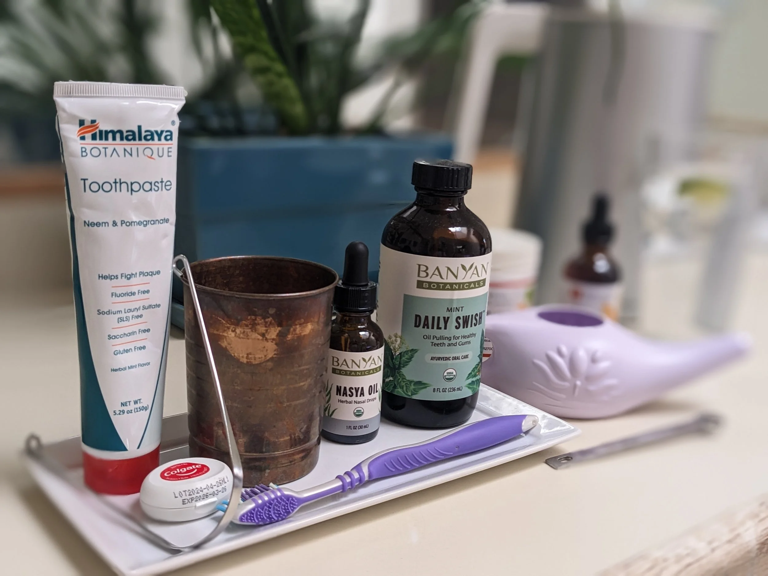 A collection of personal care items on a white tray, including a Himalaya Botanique toothpaste, a Banyan Botanicals herbal nasal drops, a brown herbal nasal oil bottle, a purple toothbrush, and a small bottle of Colgate toothpaste, with a background of plants and other bottles.