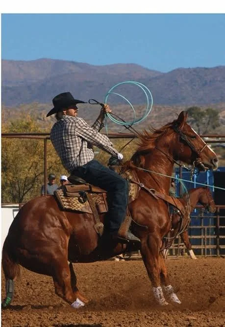 Young cowboy wearing a black hat and plaid shirt riding a brown horse in a rodeo arena, tossing a lasso.