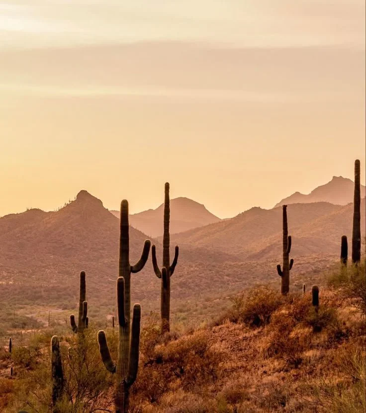 Where Salterra Collective Travels: Bridal Makeup Across Texas, Arizona &amp; Beyond