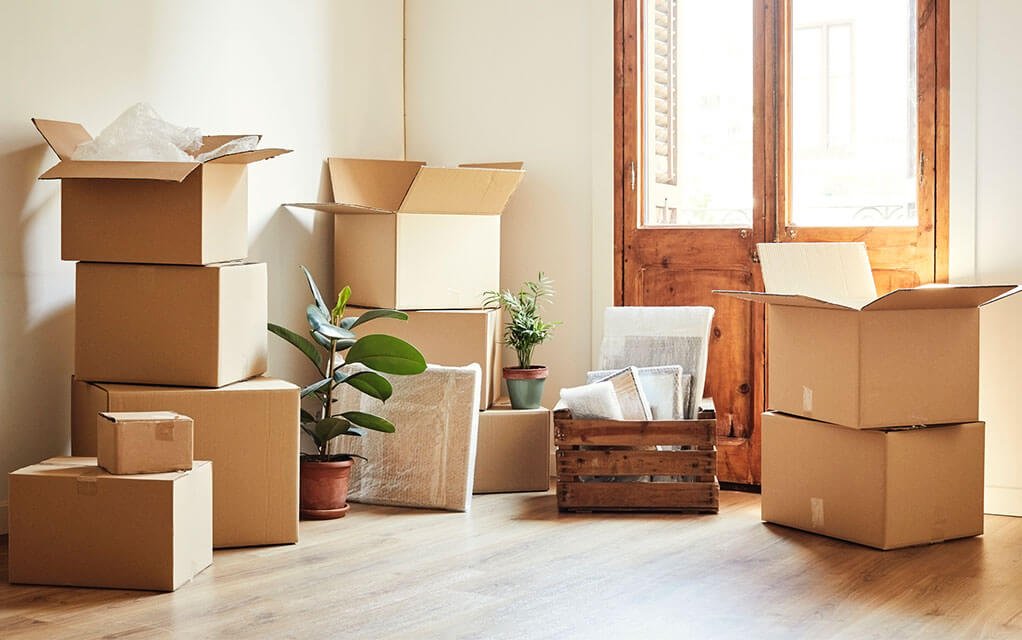 Staging | Packing | Settling