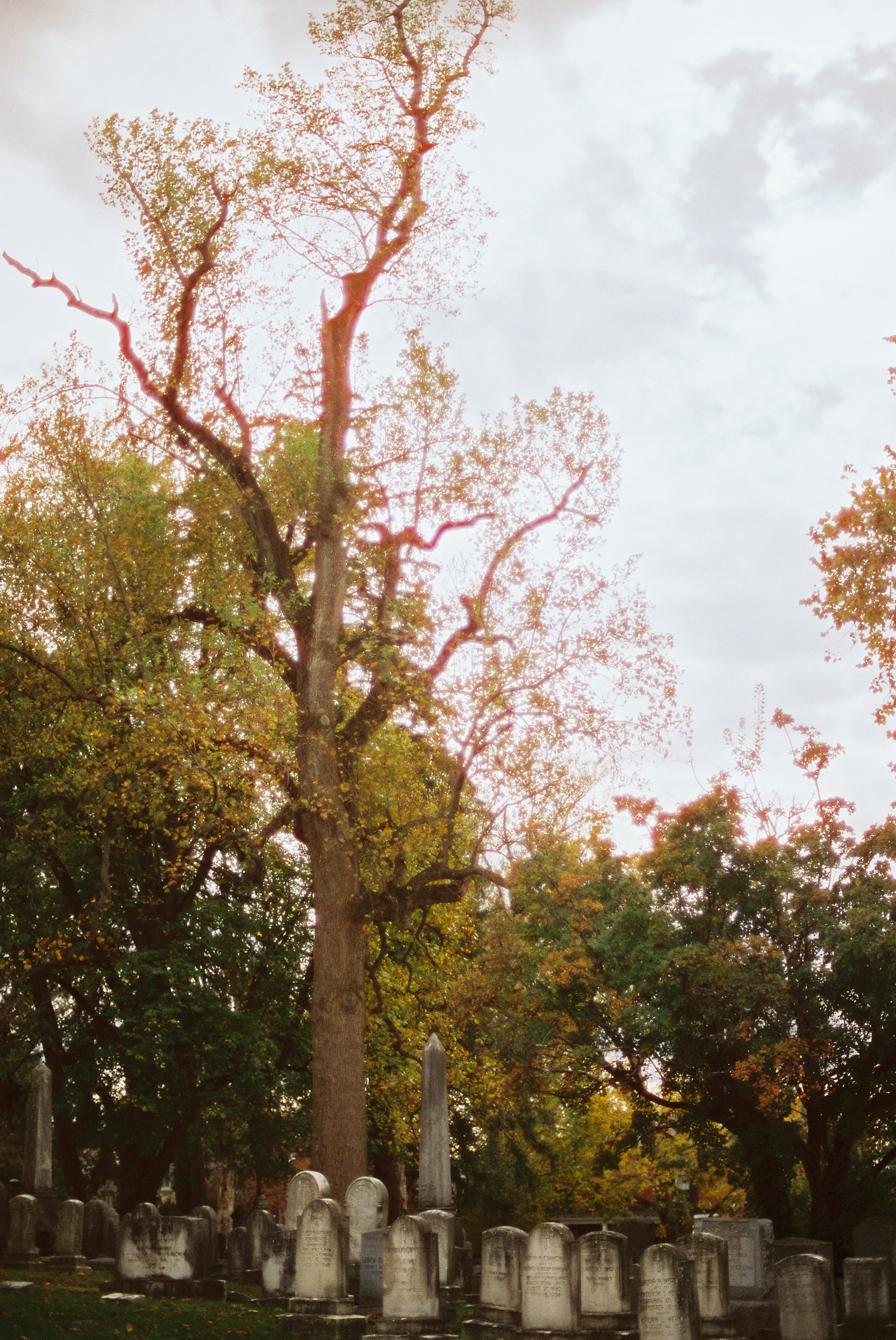 Cemetery-39.jpg