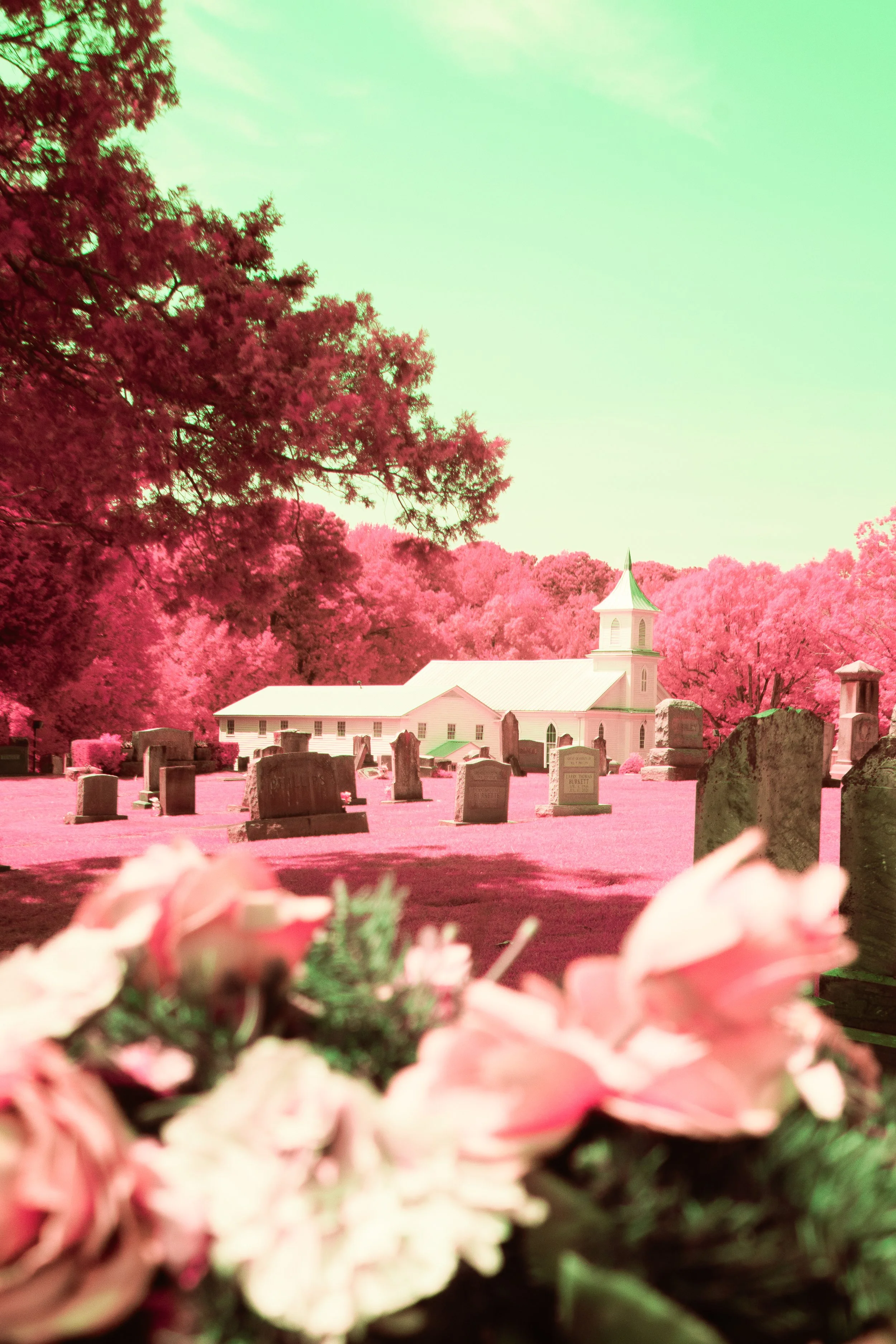 Cemetery-2.jpg