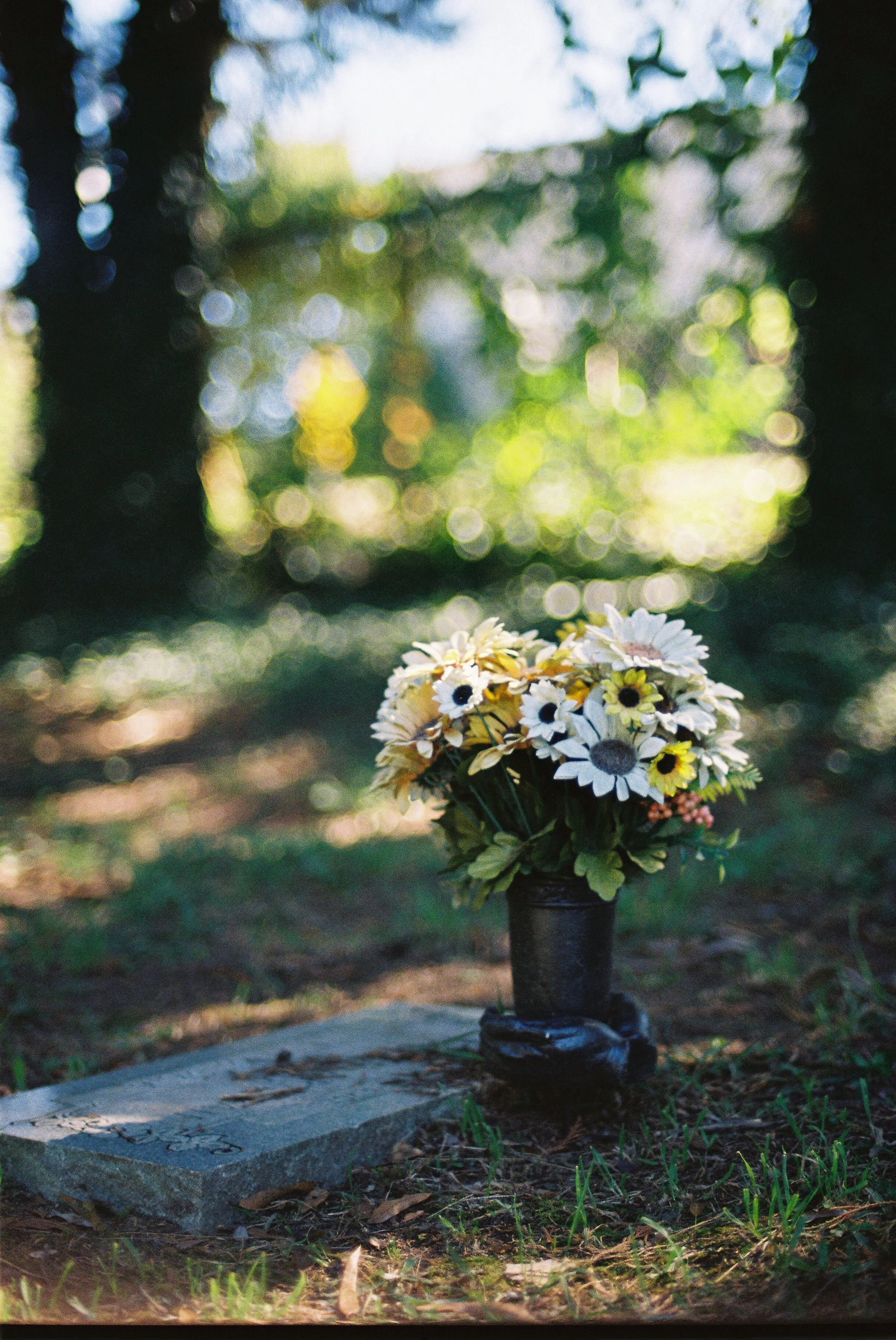Cemetery-41.jpg