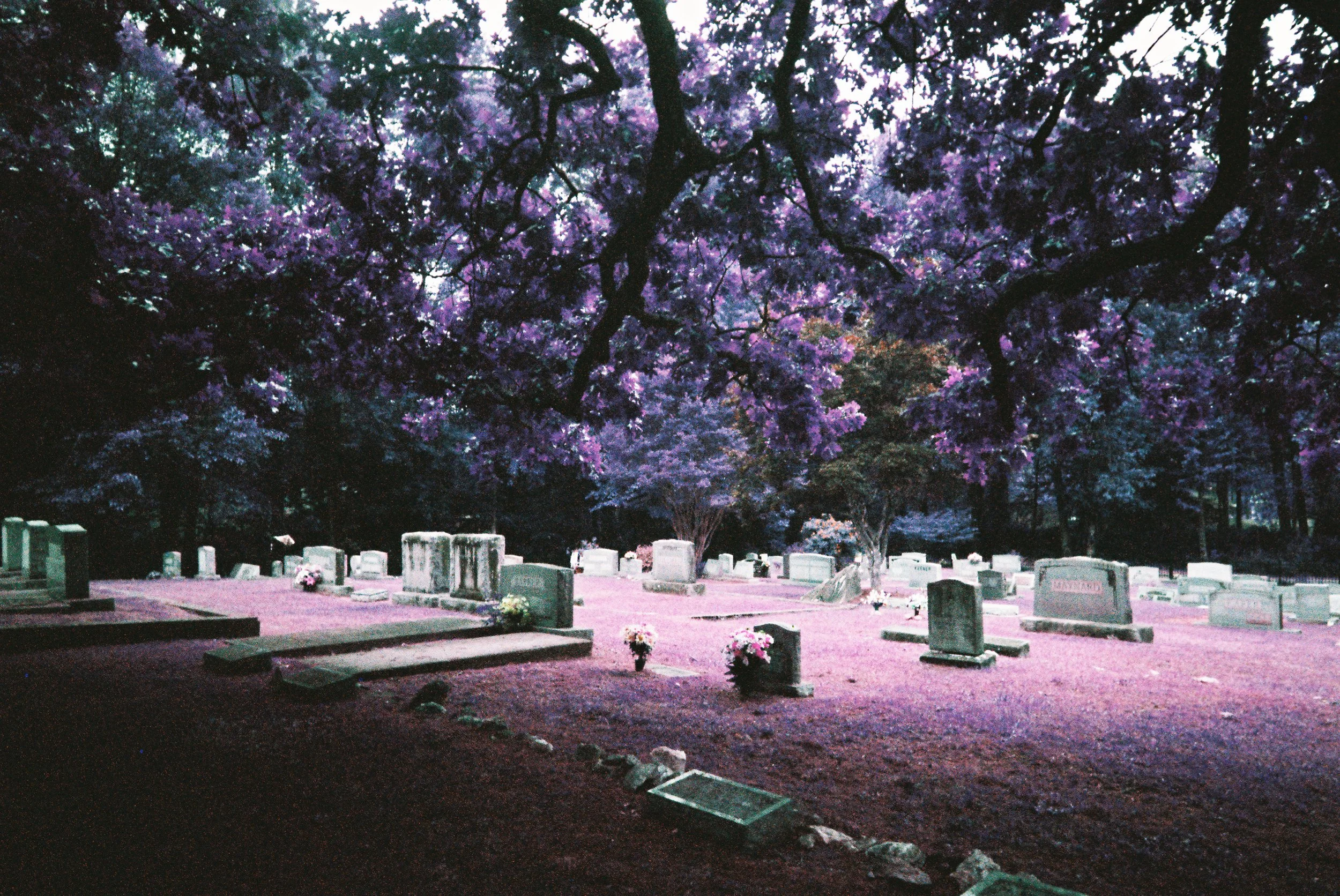 Cemetery-13.jpg