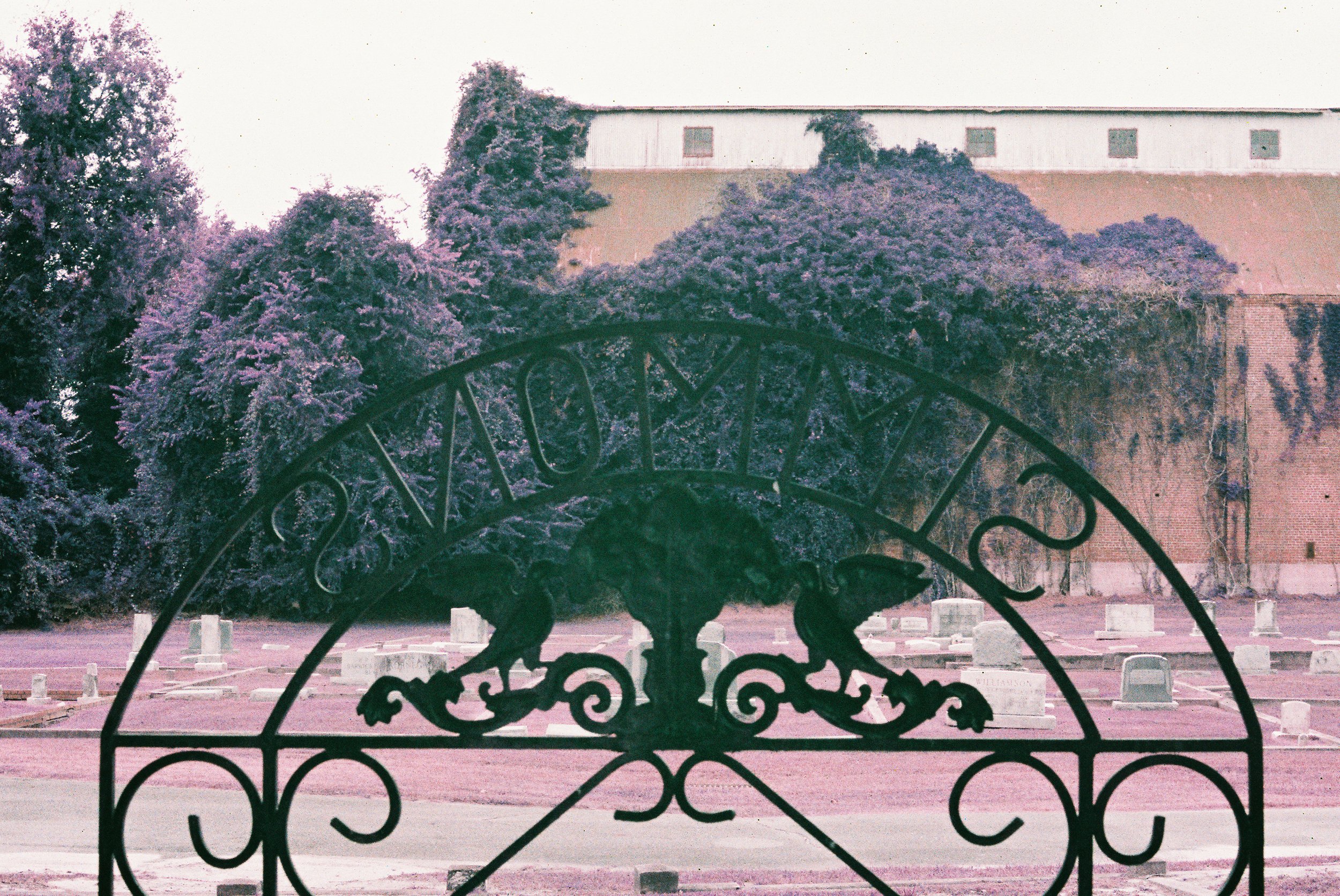 Cemetery-43.jpg