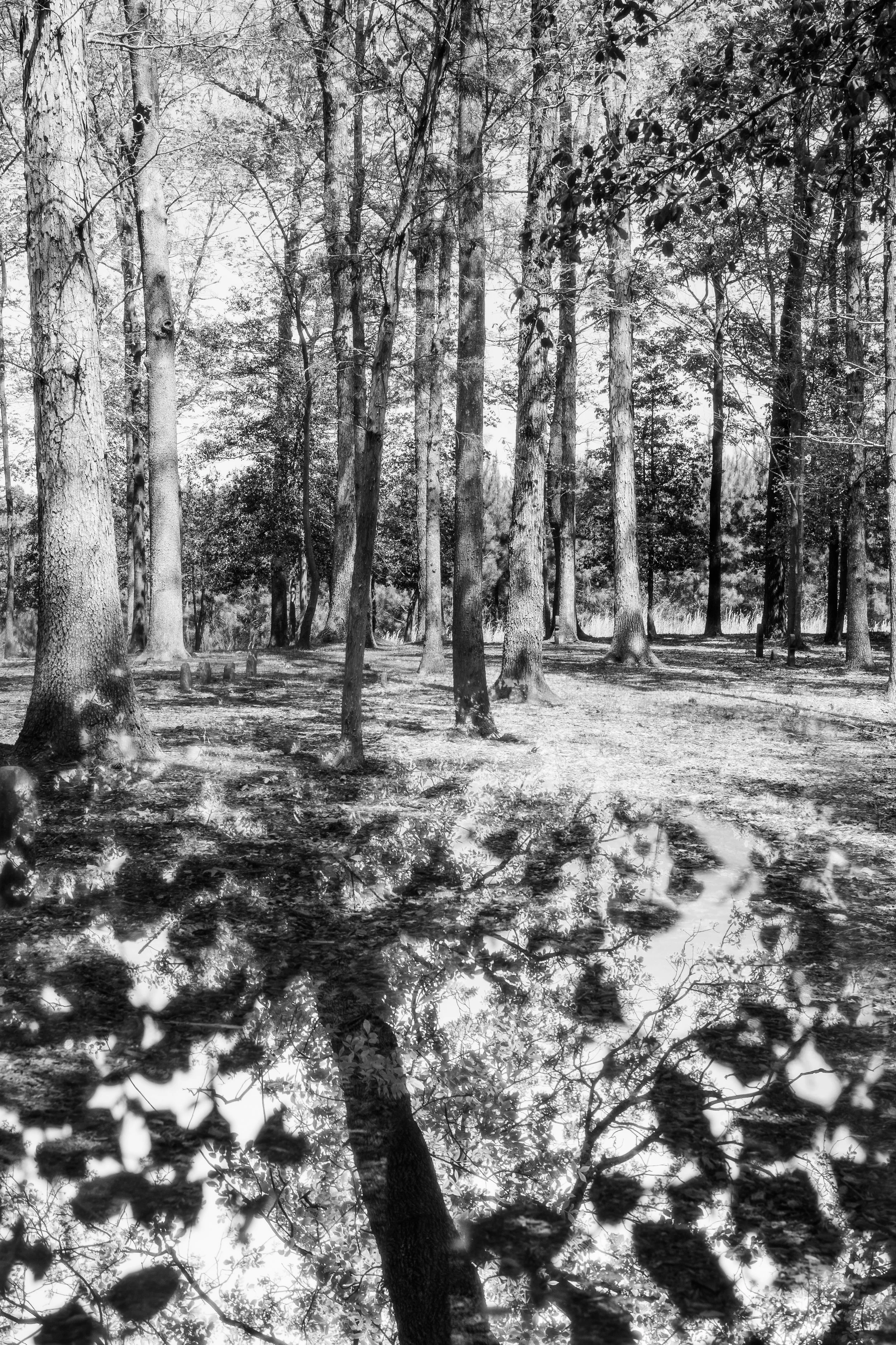 Cemetery-17.jpg