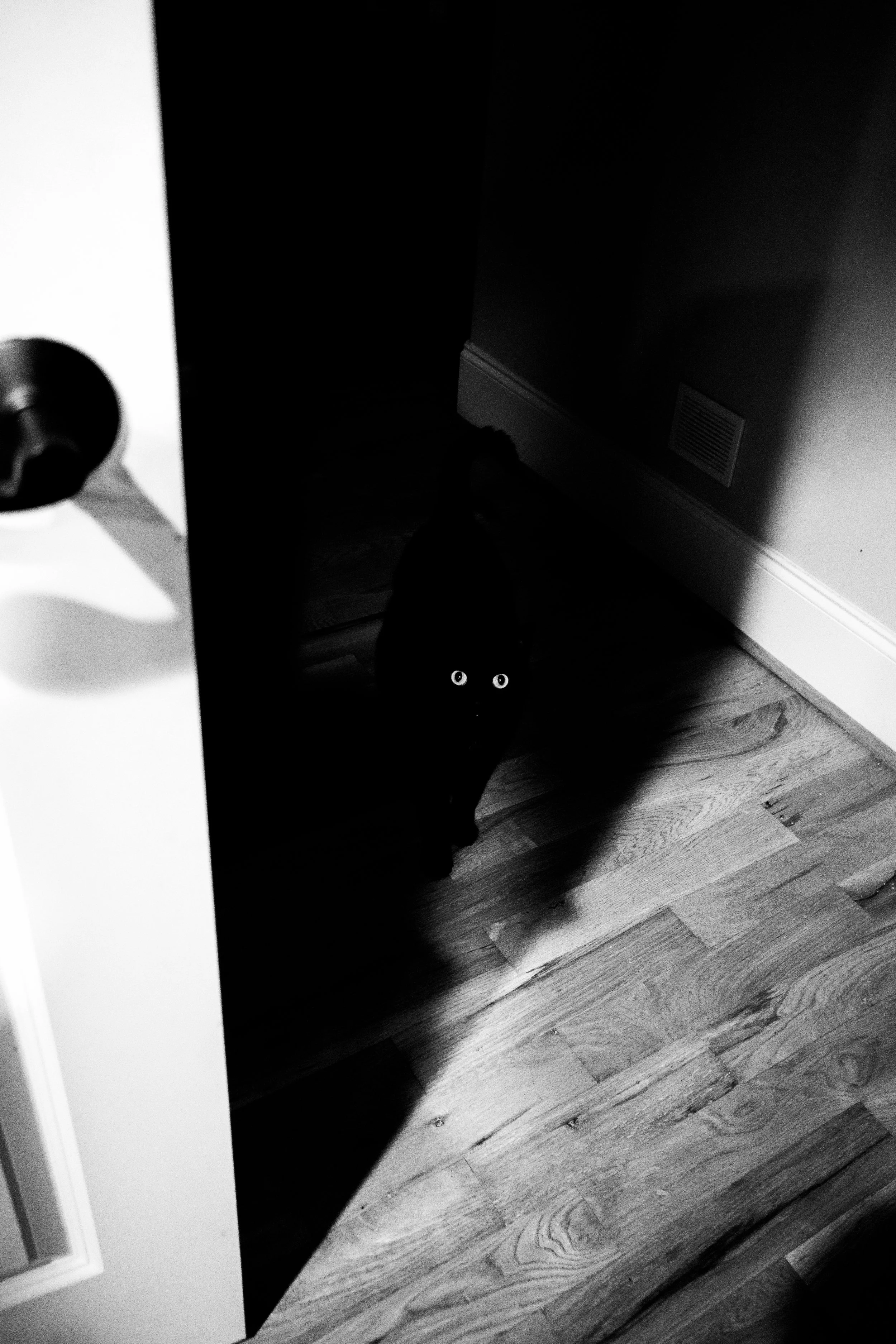 Void Eyes.jpg