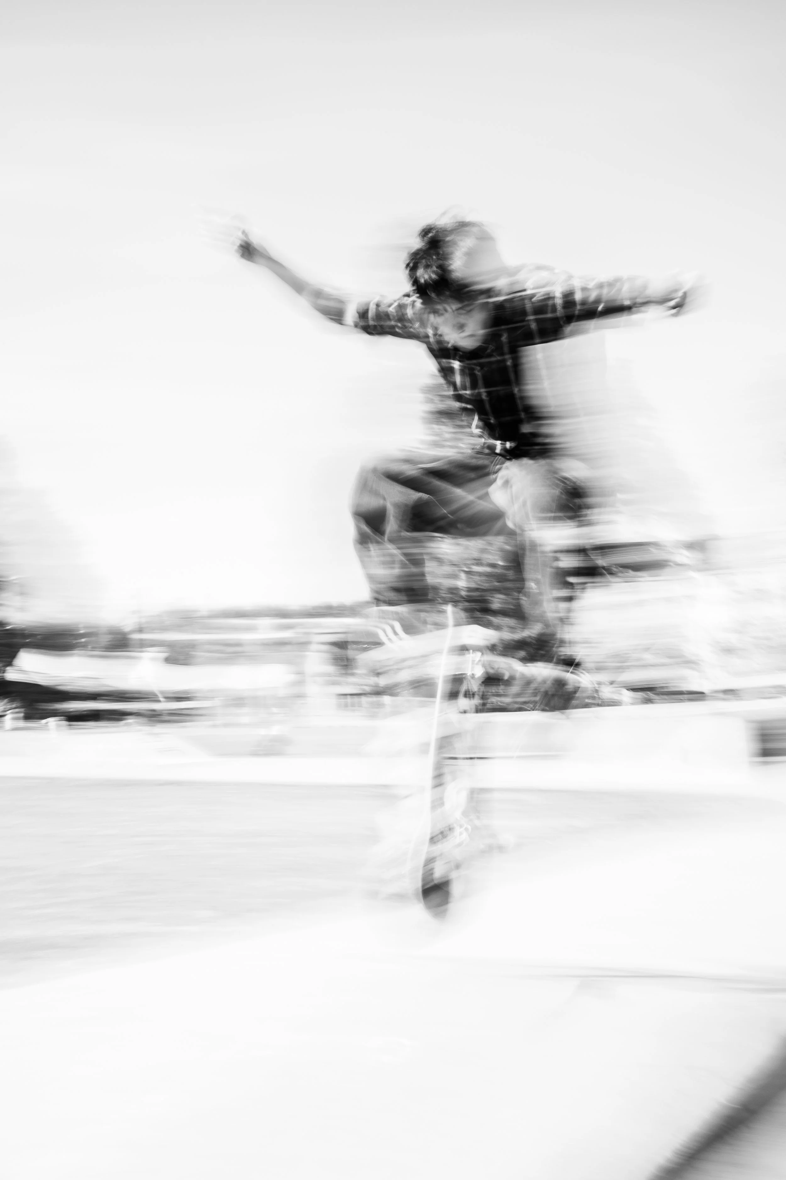 Fly Guy.jpg