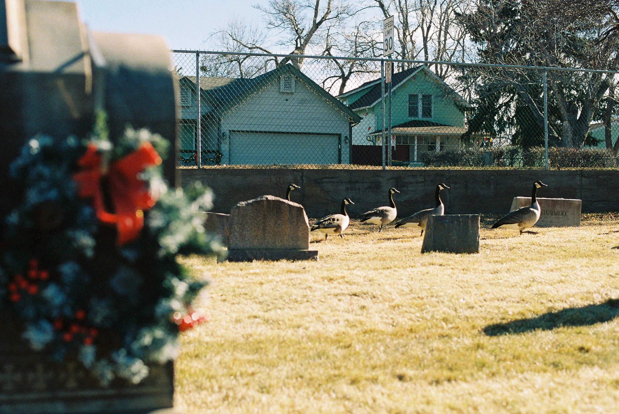 Cemetery-28.jpg