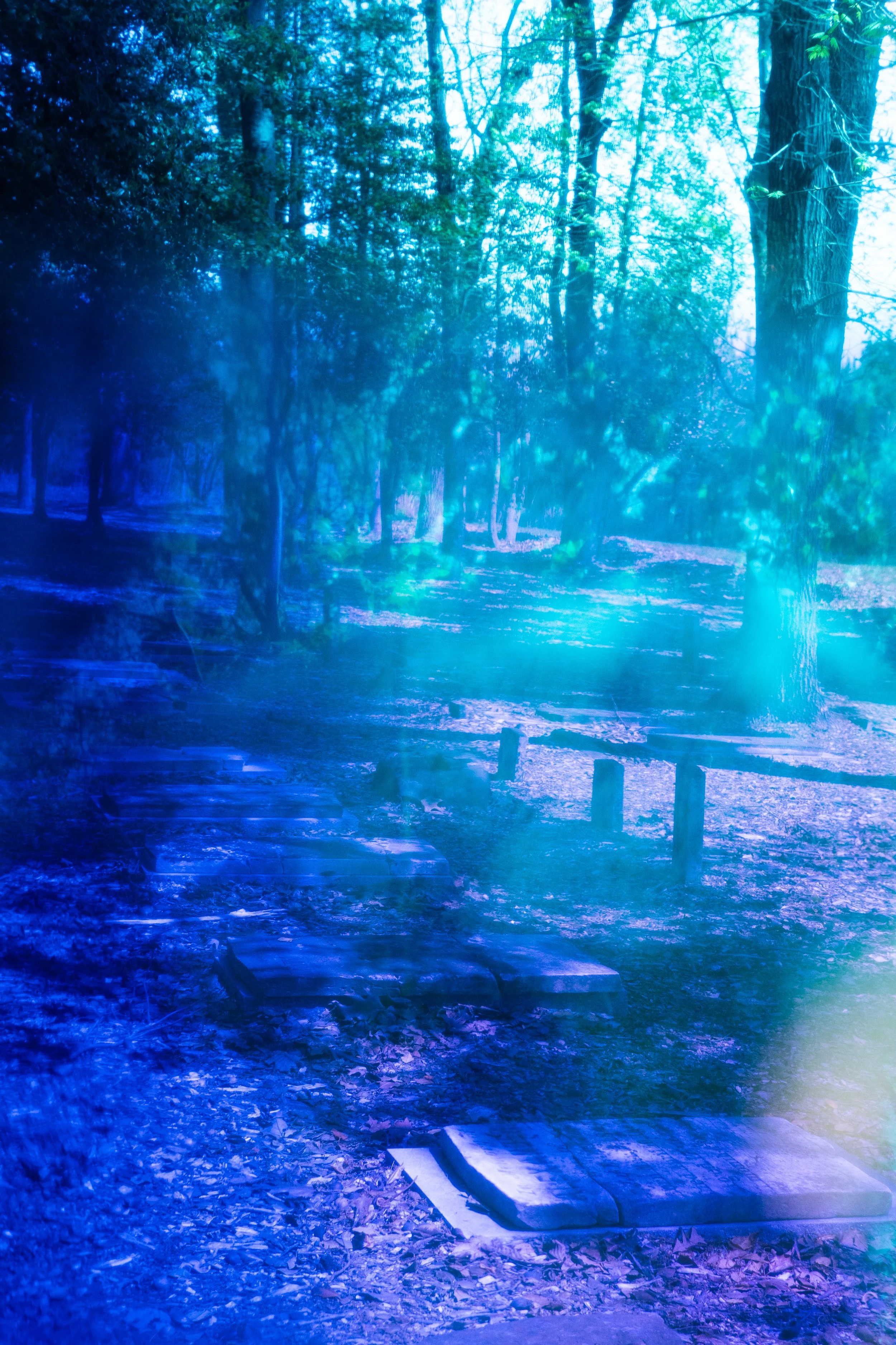 Cemetery-18.jpg
