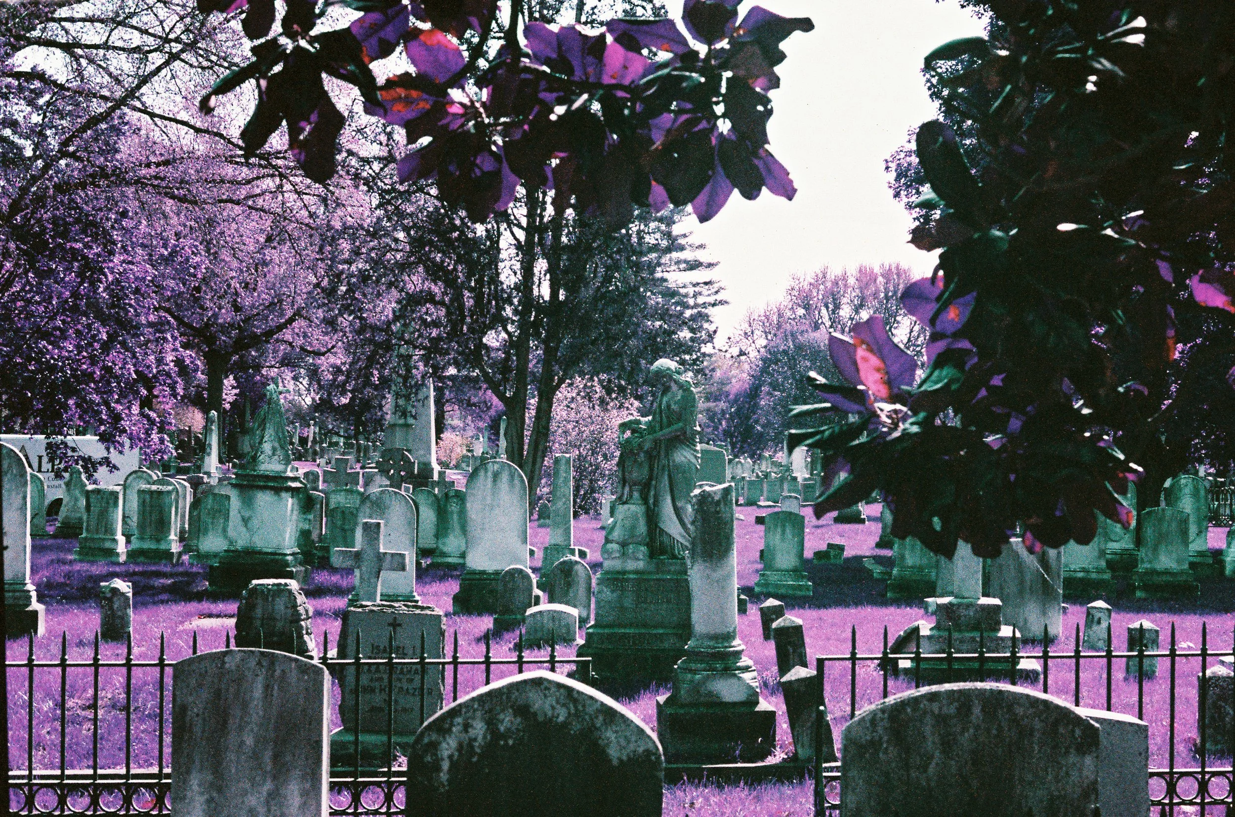 Cemetery-52.jpg