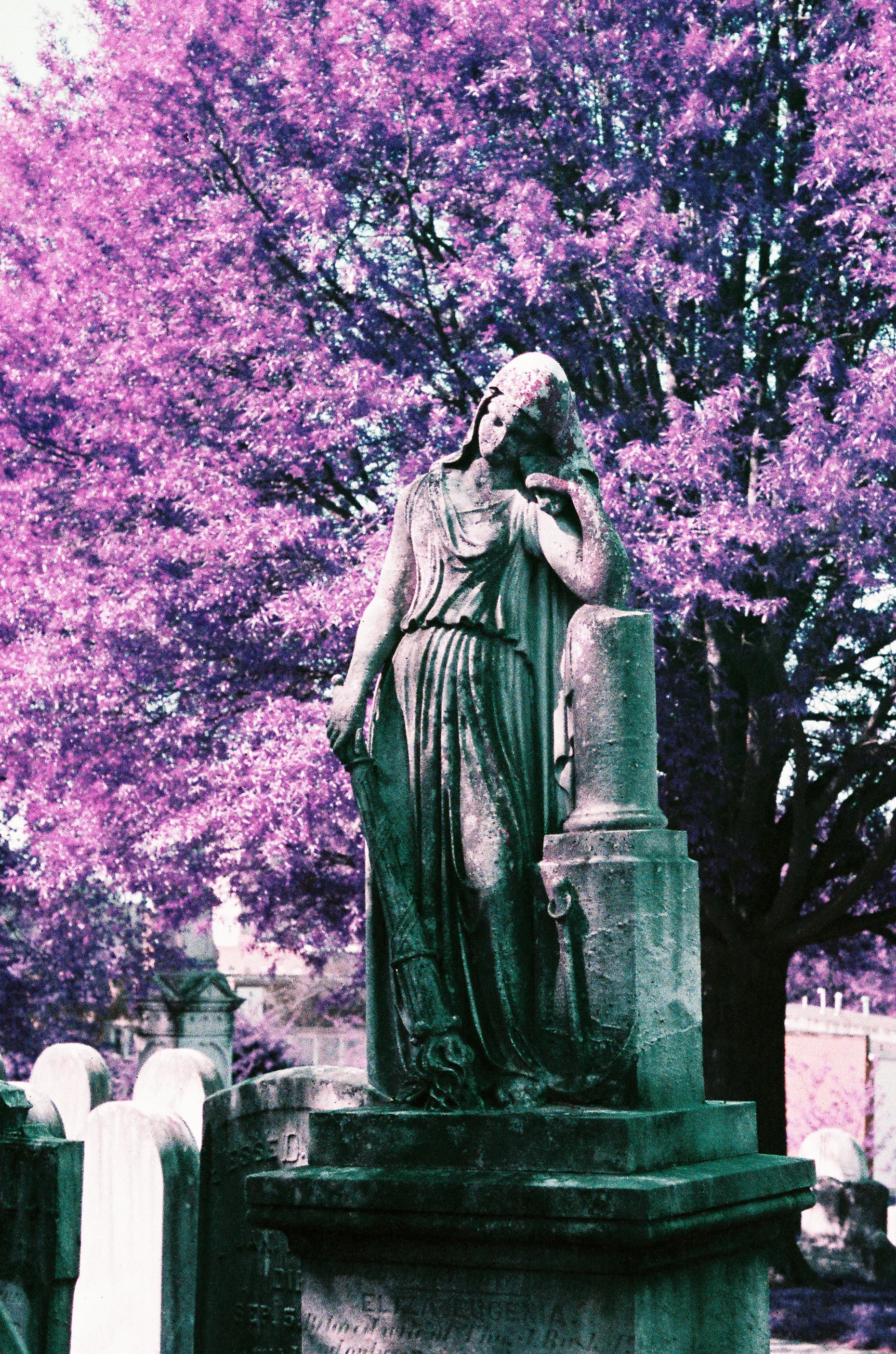 Cemetery-51.jpg