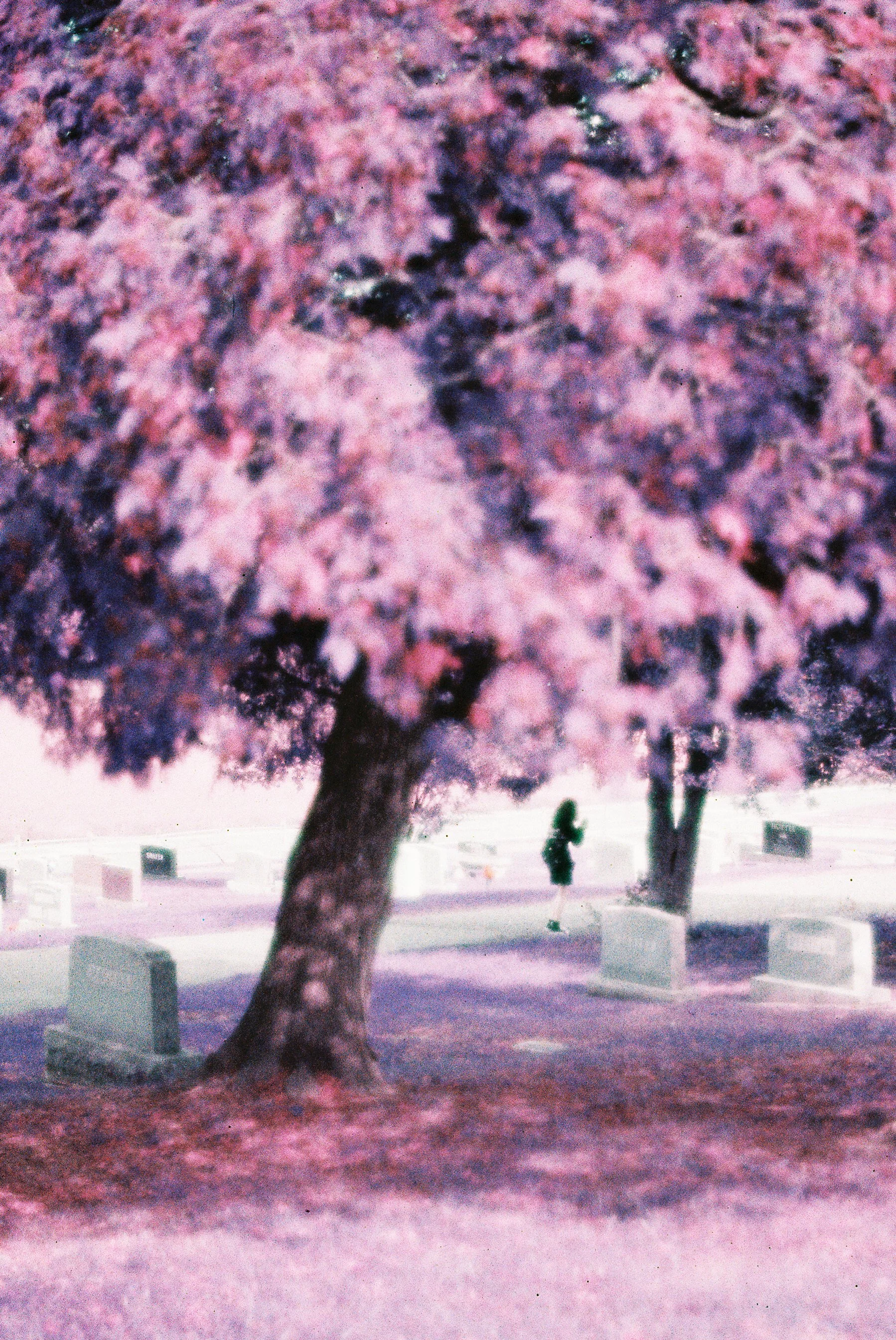 Cemetery-37.jpg
