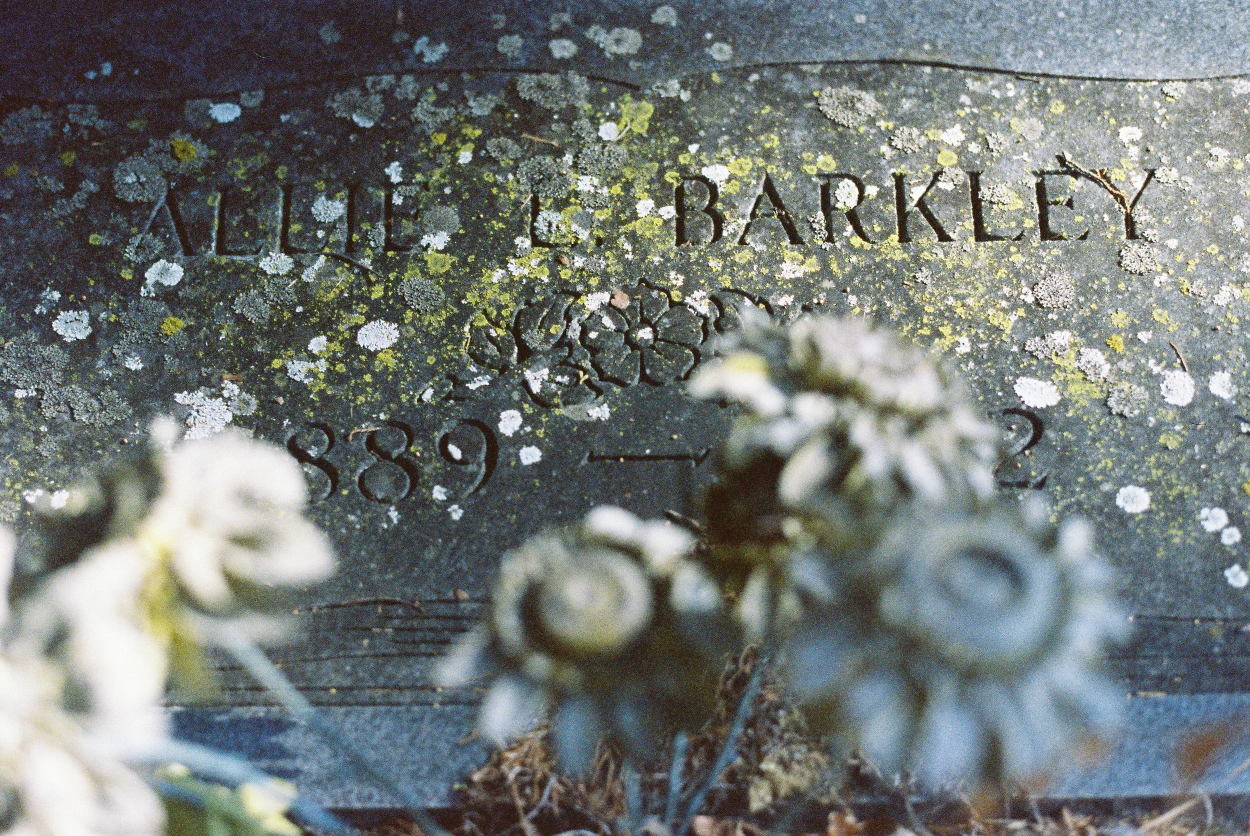 Cemetery-23.jpg