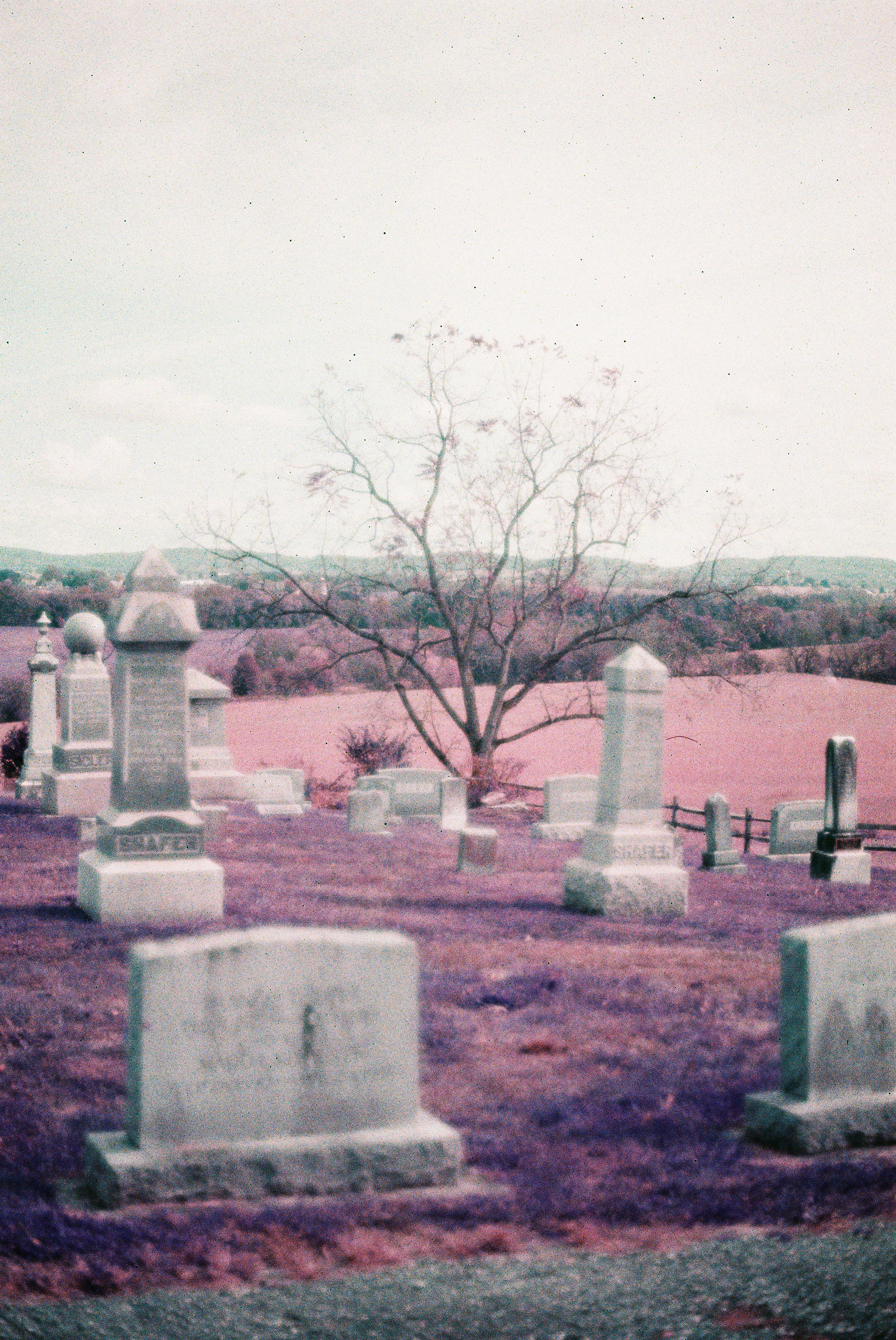 Cemetery-35.jpg