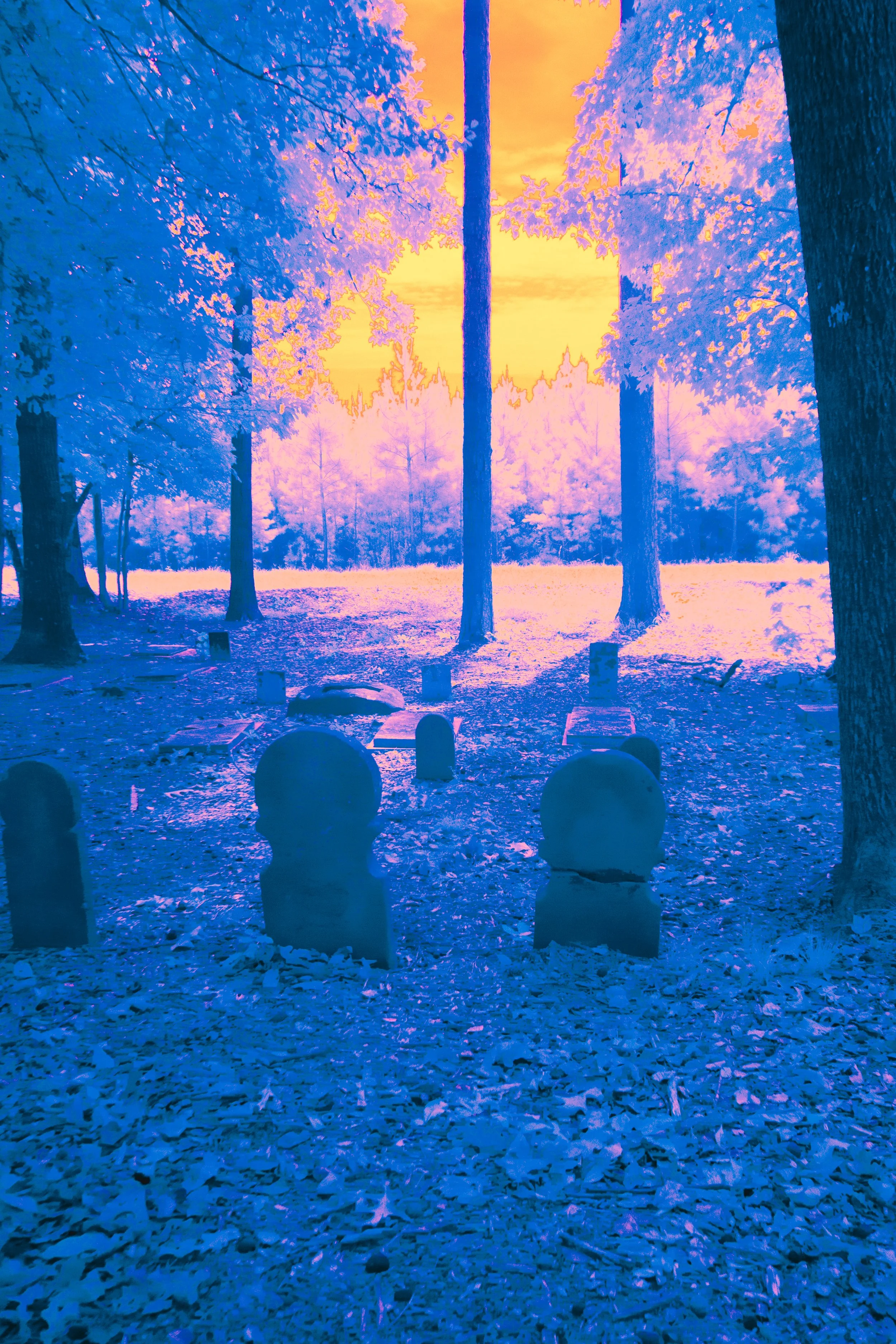 Cemetery-5.jpg
