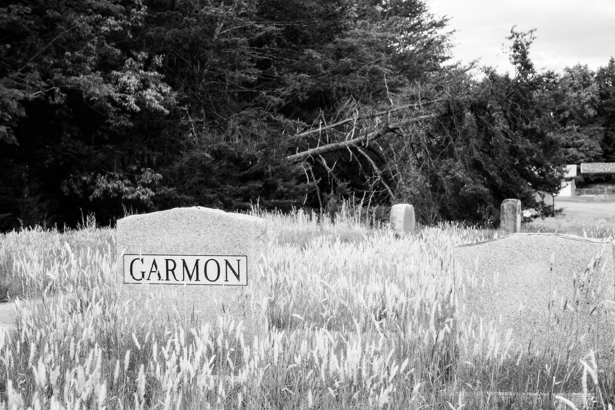 Cemetery-14.jpg