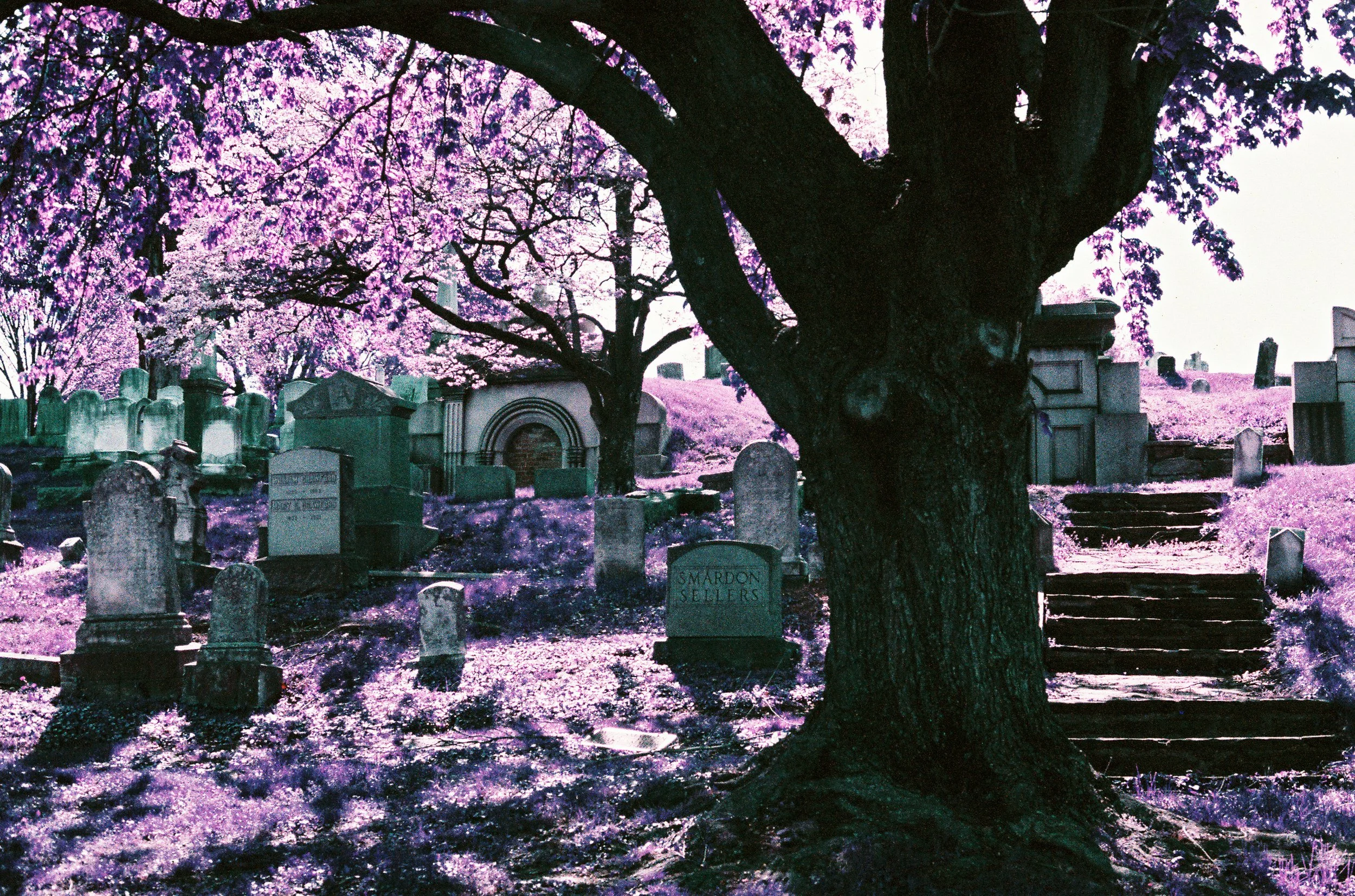 Cemetery-49.jpg