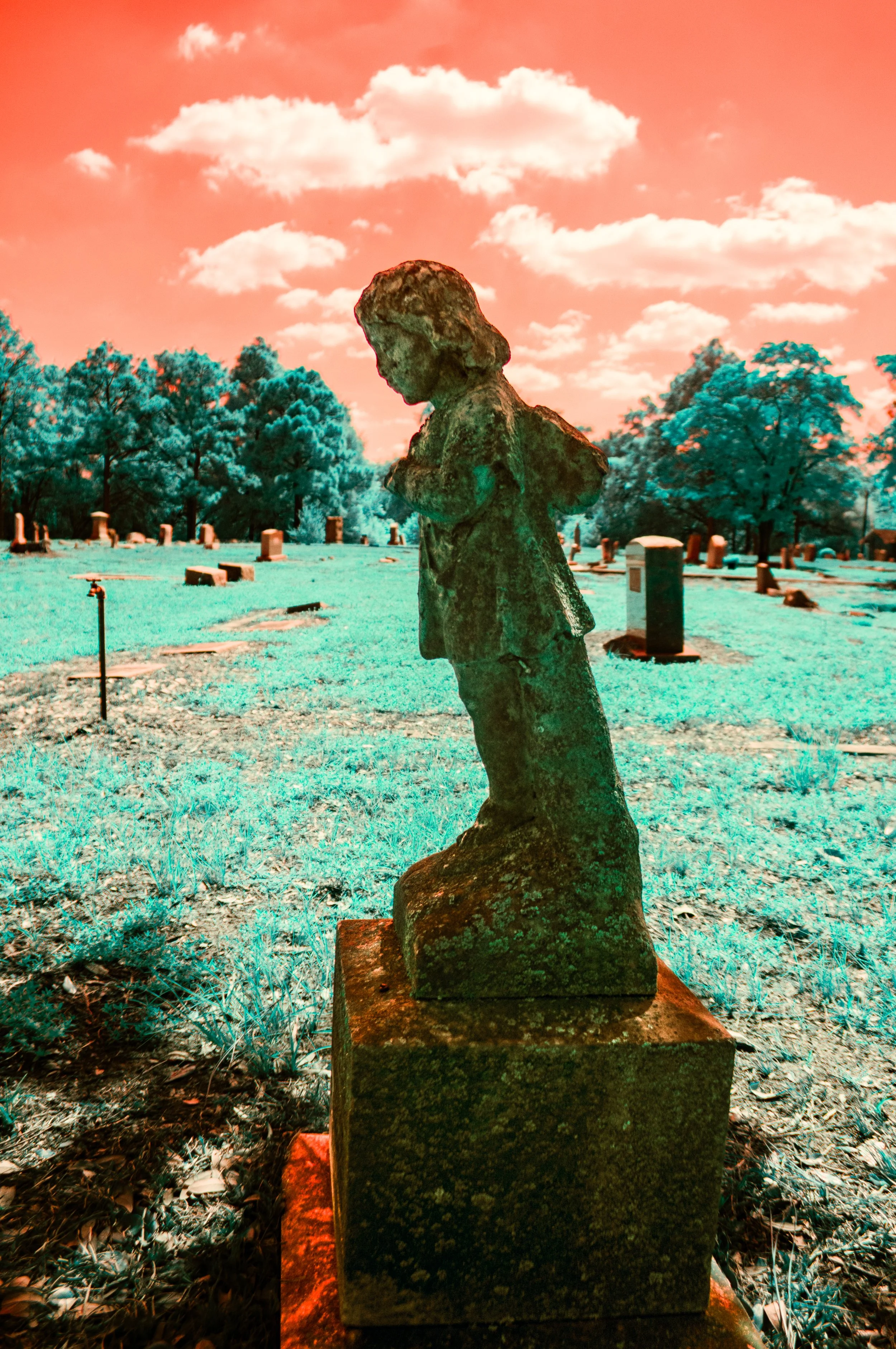 cemetery-59.jpg