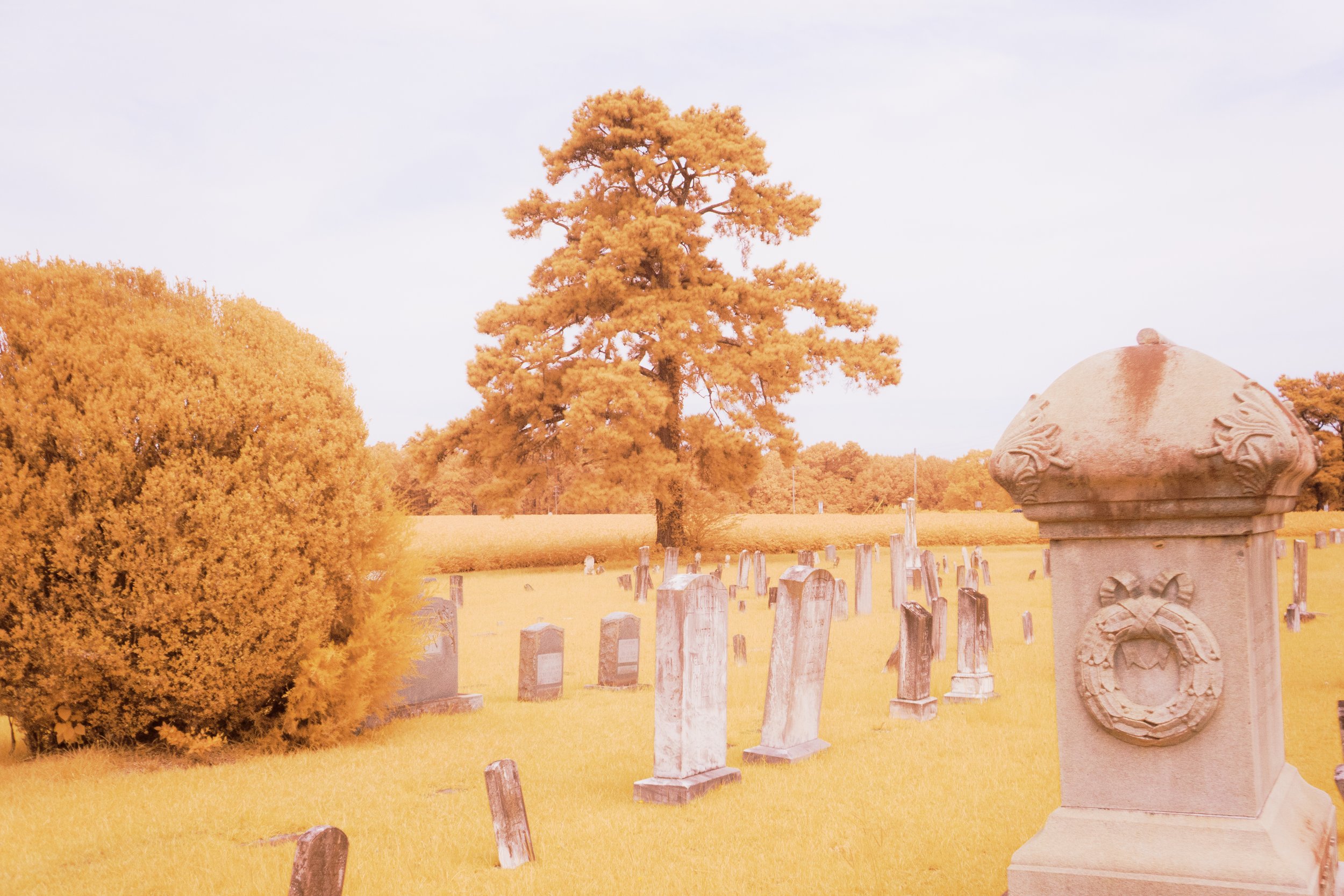 Cemetery-8.jpg