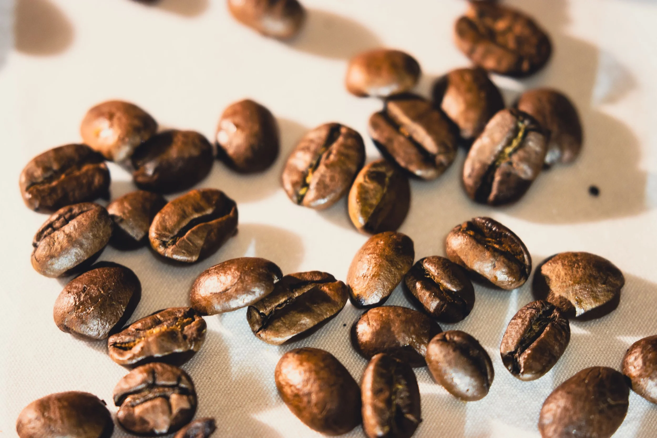 The Ultimate Guide to Coffee Brewing Methods: Espresso, Pour Over, Cold Brew &amp; More