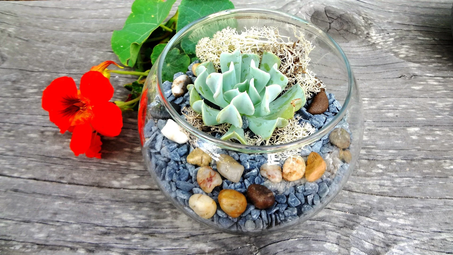 Terrarium Bar (23).JPG